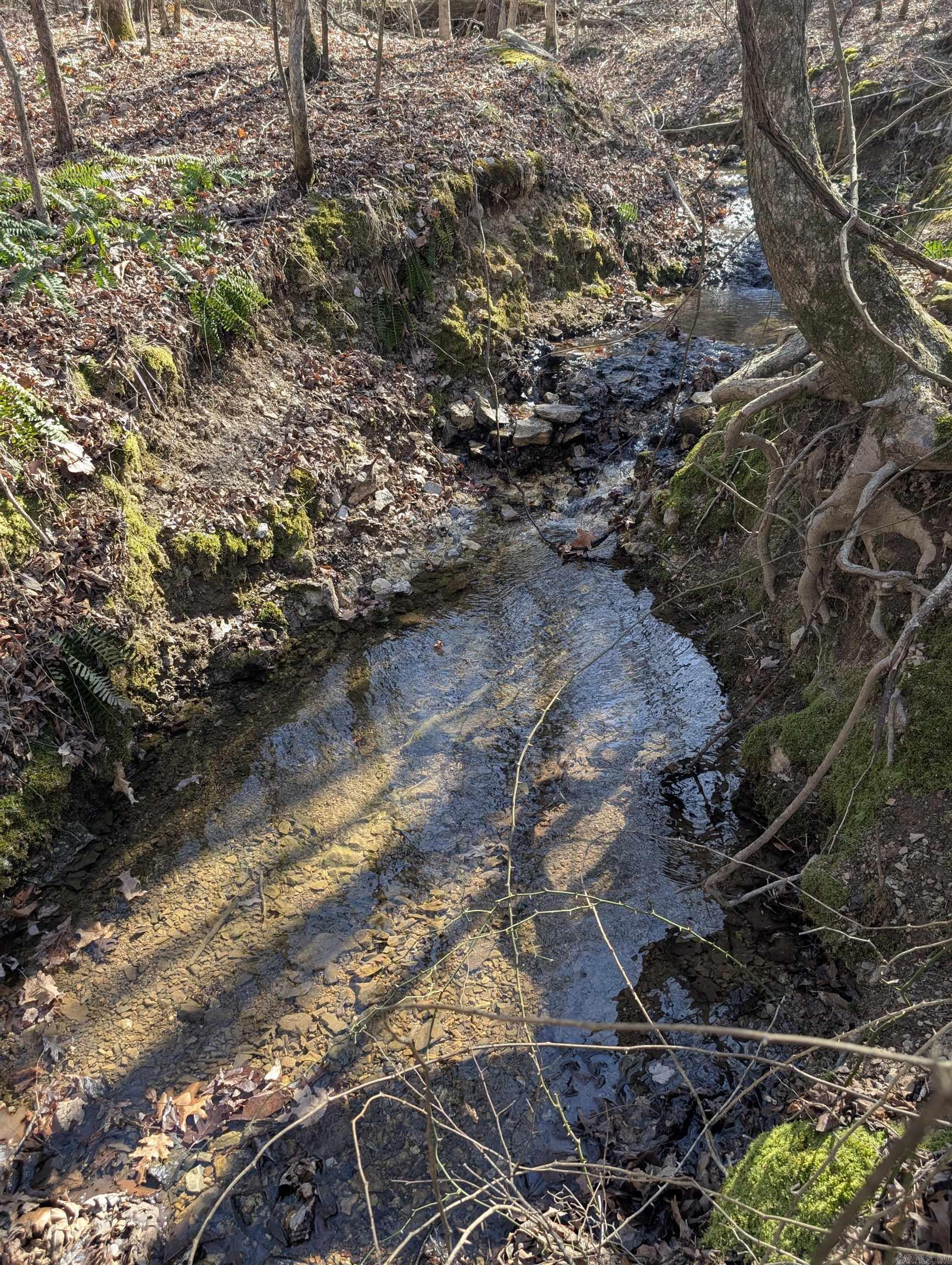 383A Massey Lane  Mena, AR