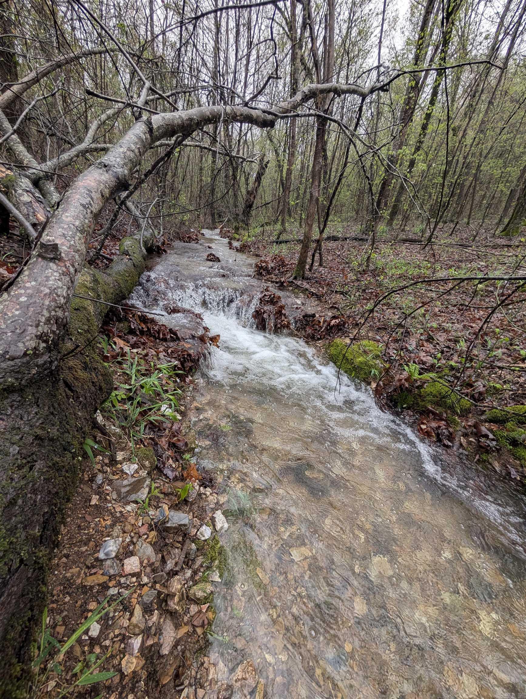 383A Massey Lane  Mena, AR