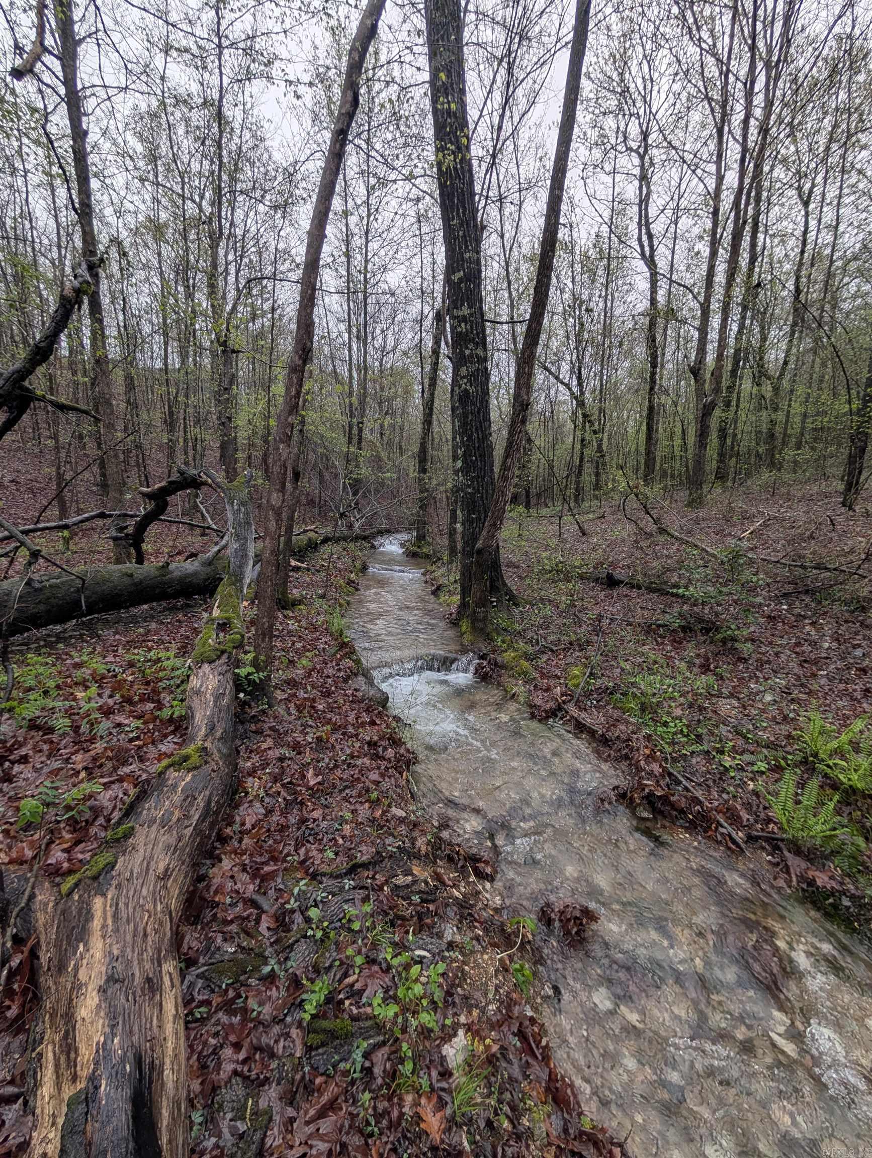 383A Massey Lane  Mena, AR