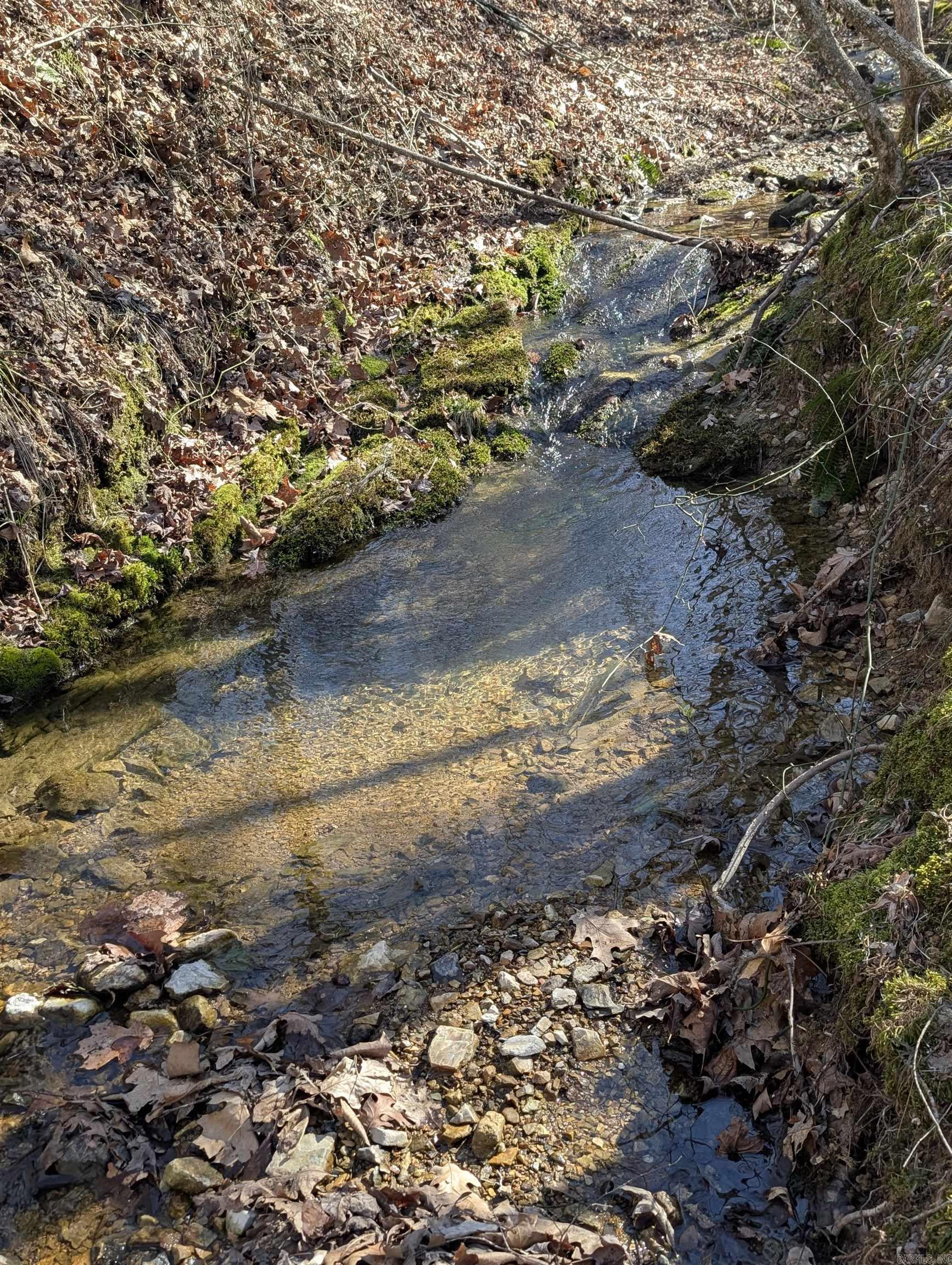 383B Massey Lane  Mena, AR