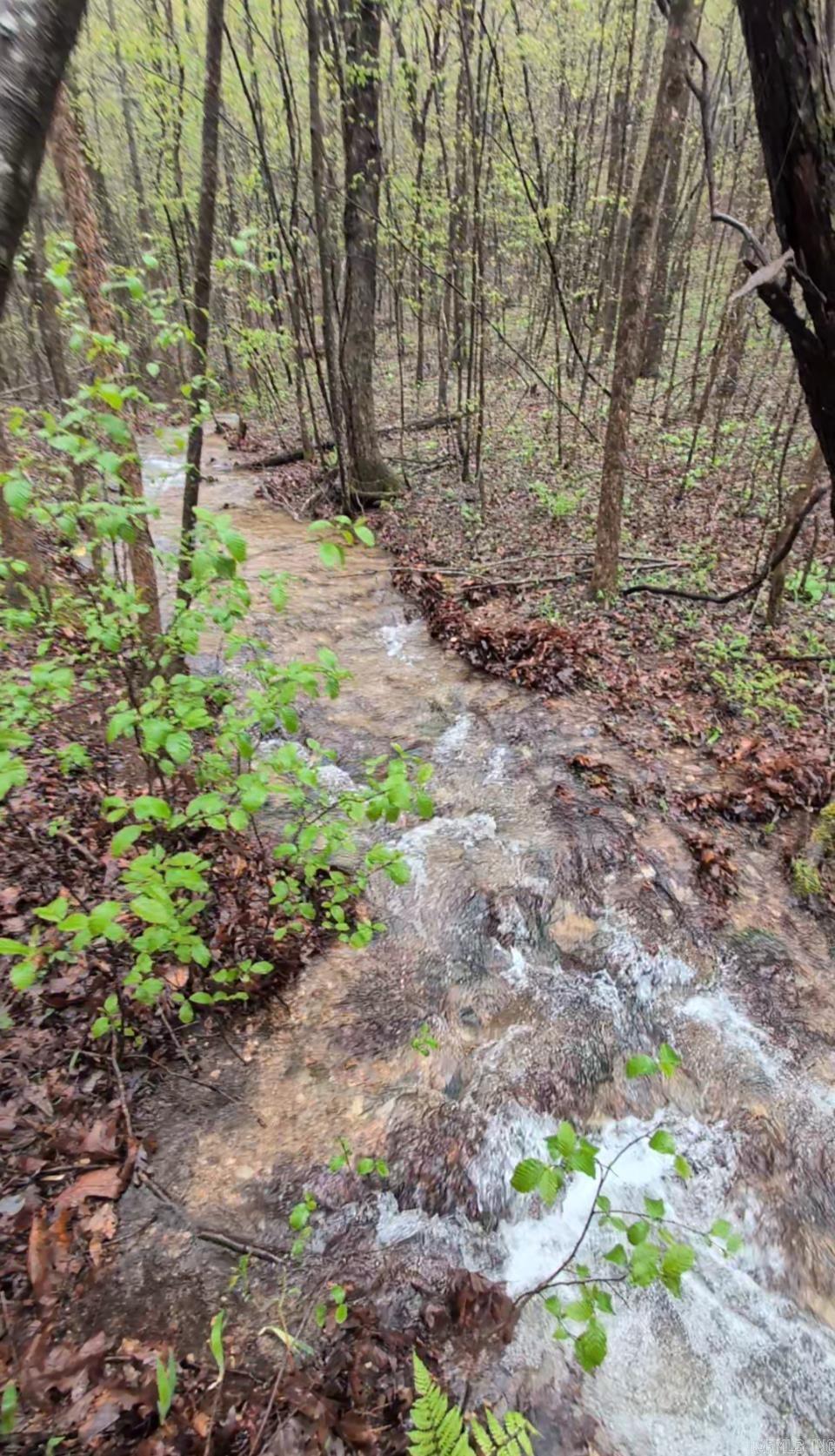 383B Massey Lane  Mena, AR