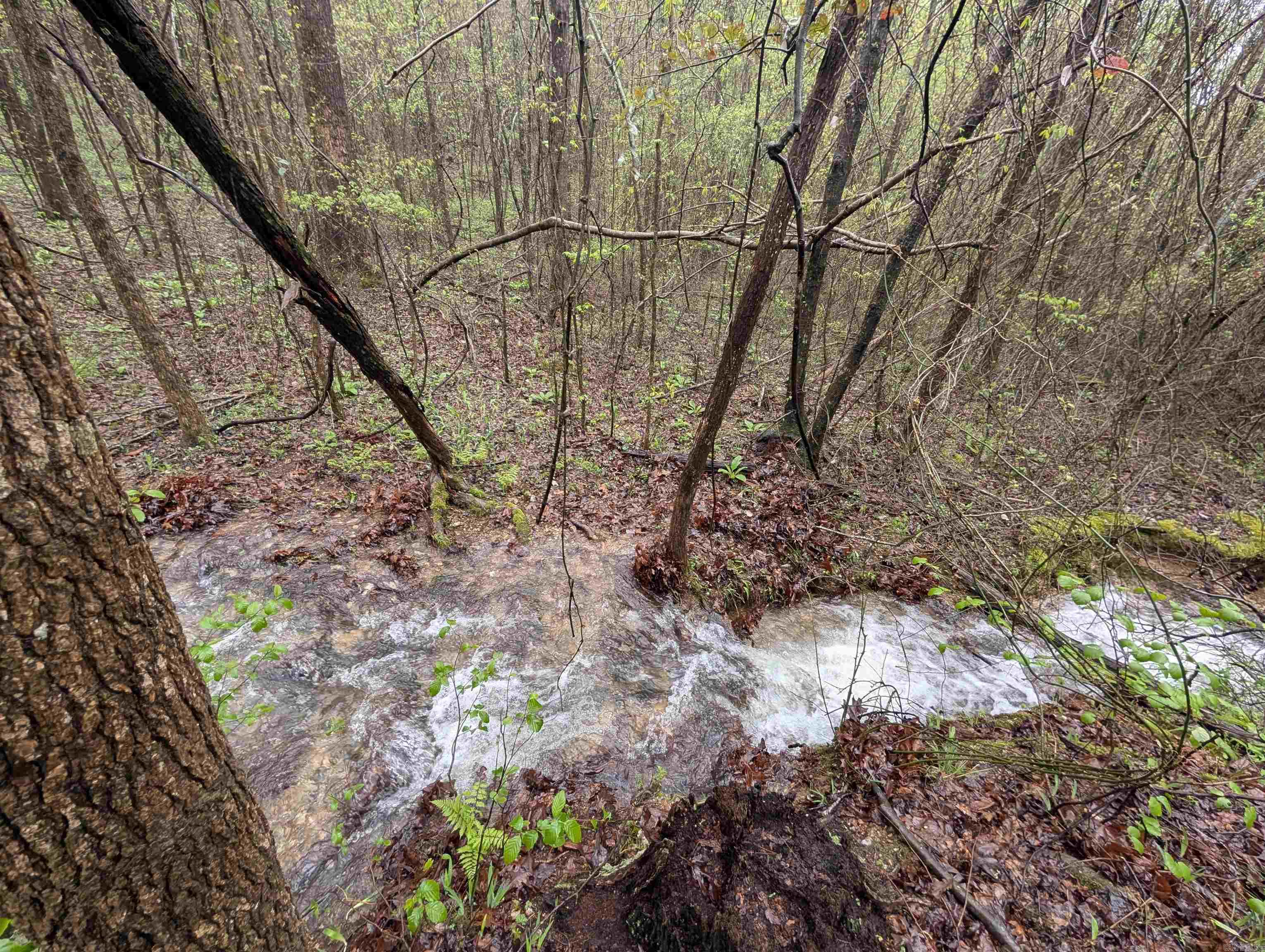 383B Massey Lane  Mena, AR