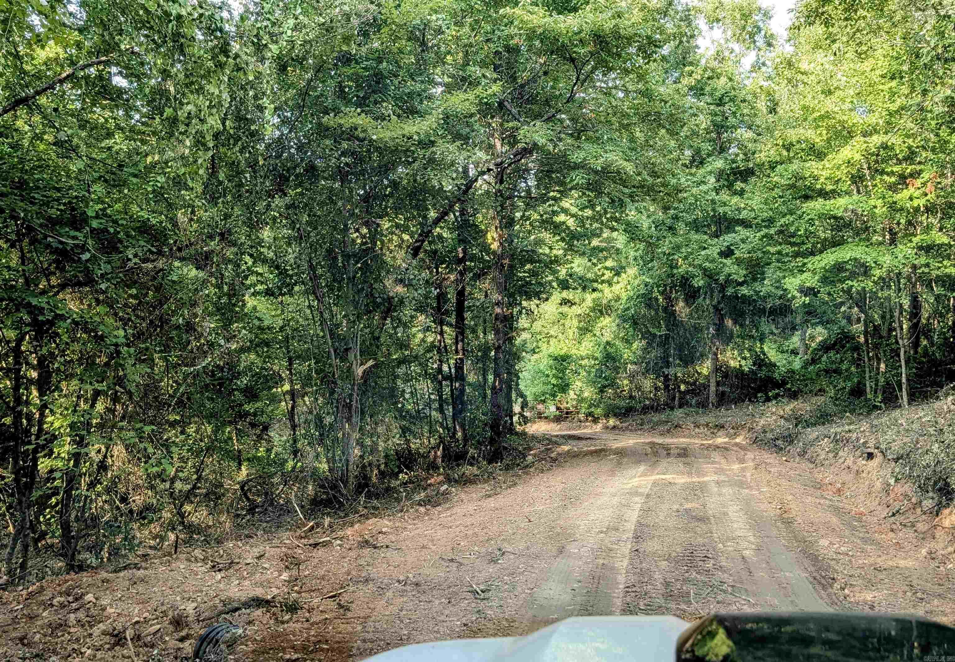 383B Massey Lane  Mena, AR