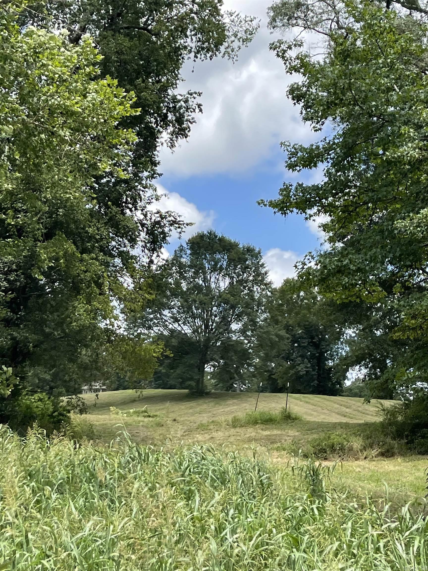 Lots 3 & 4 Riverview  Glenwood, AR