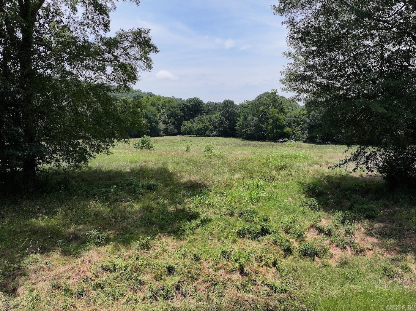 Lots 3 & 4 Riverview  Glenwood, AR