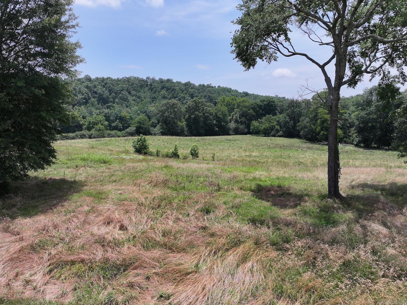 Lots 3 & 4 Riverview  Glenwood, AR