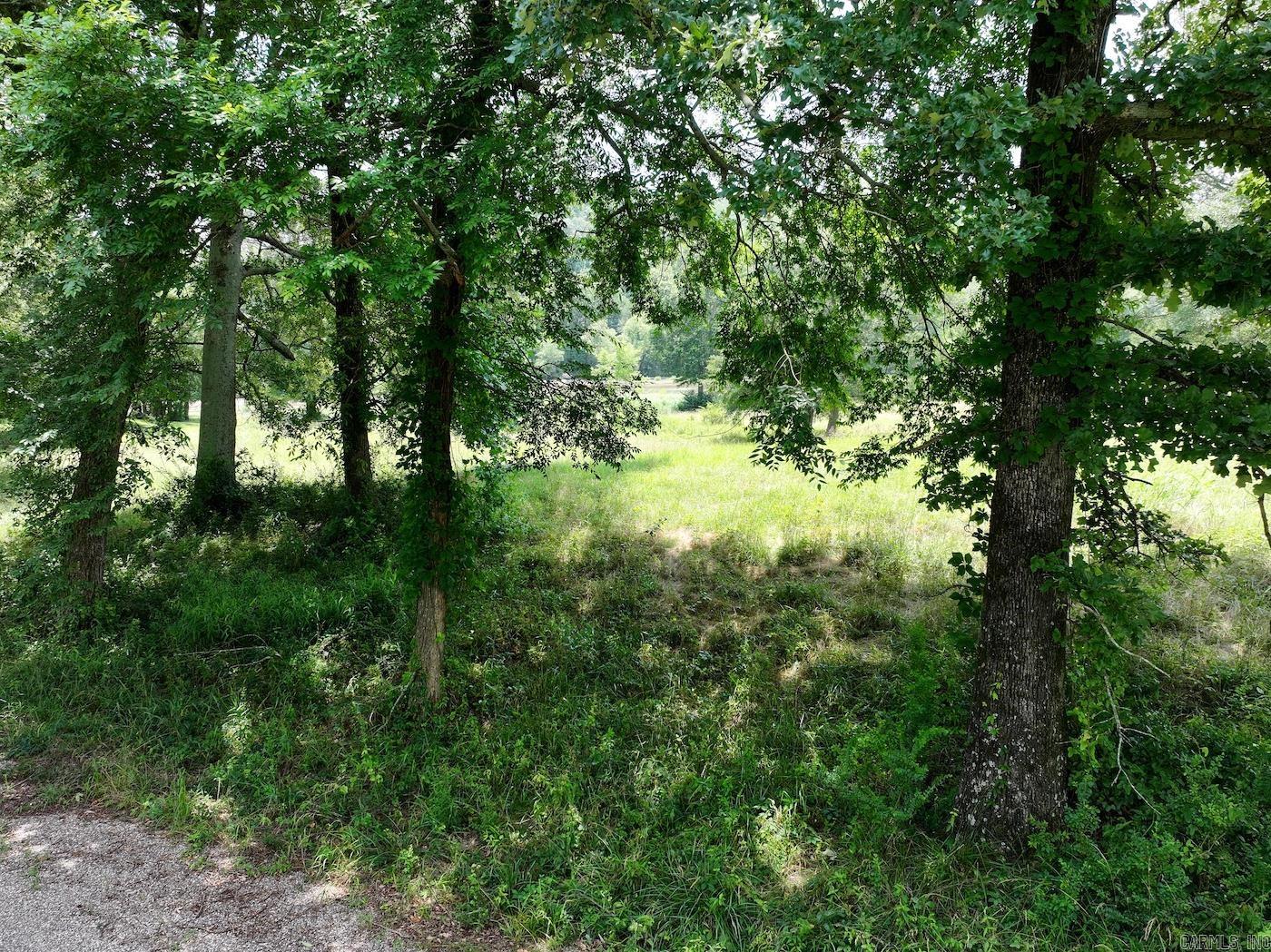 Lots 3 & 4 Riverview  Glenwood, AR