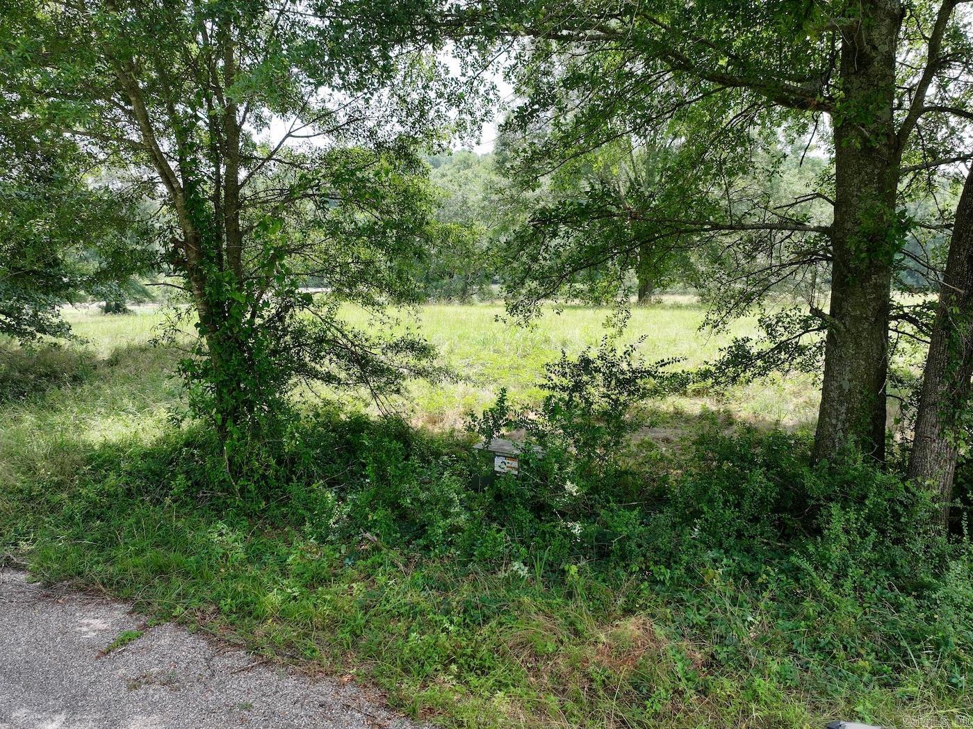 Lots 3 & 4 Riverview  Glenwood, AR