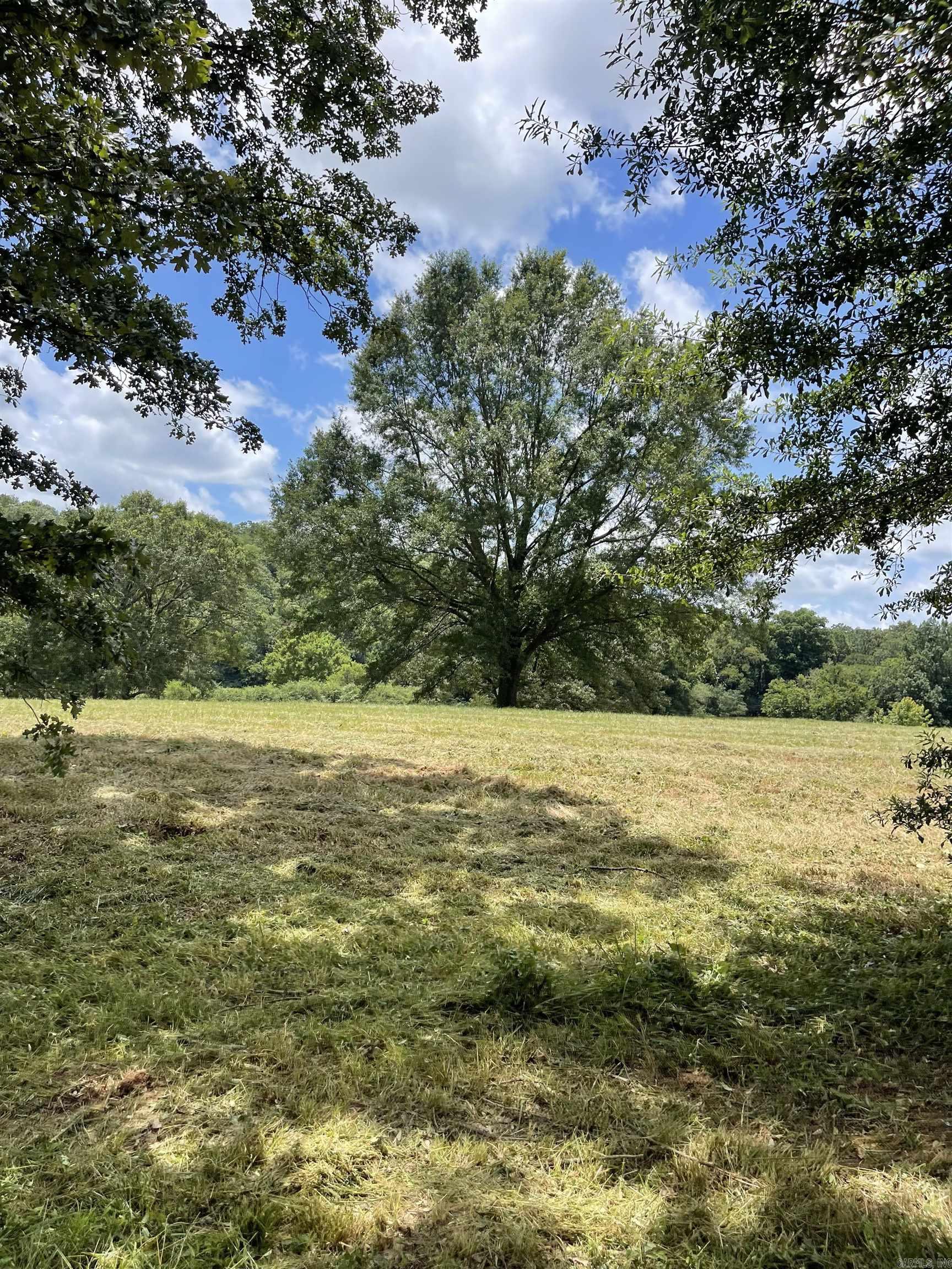 Lots 3 & 4 Riverview  Glenwood, AR