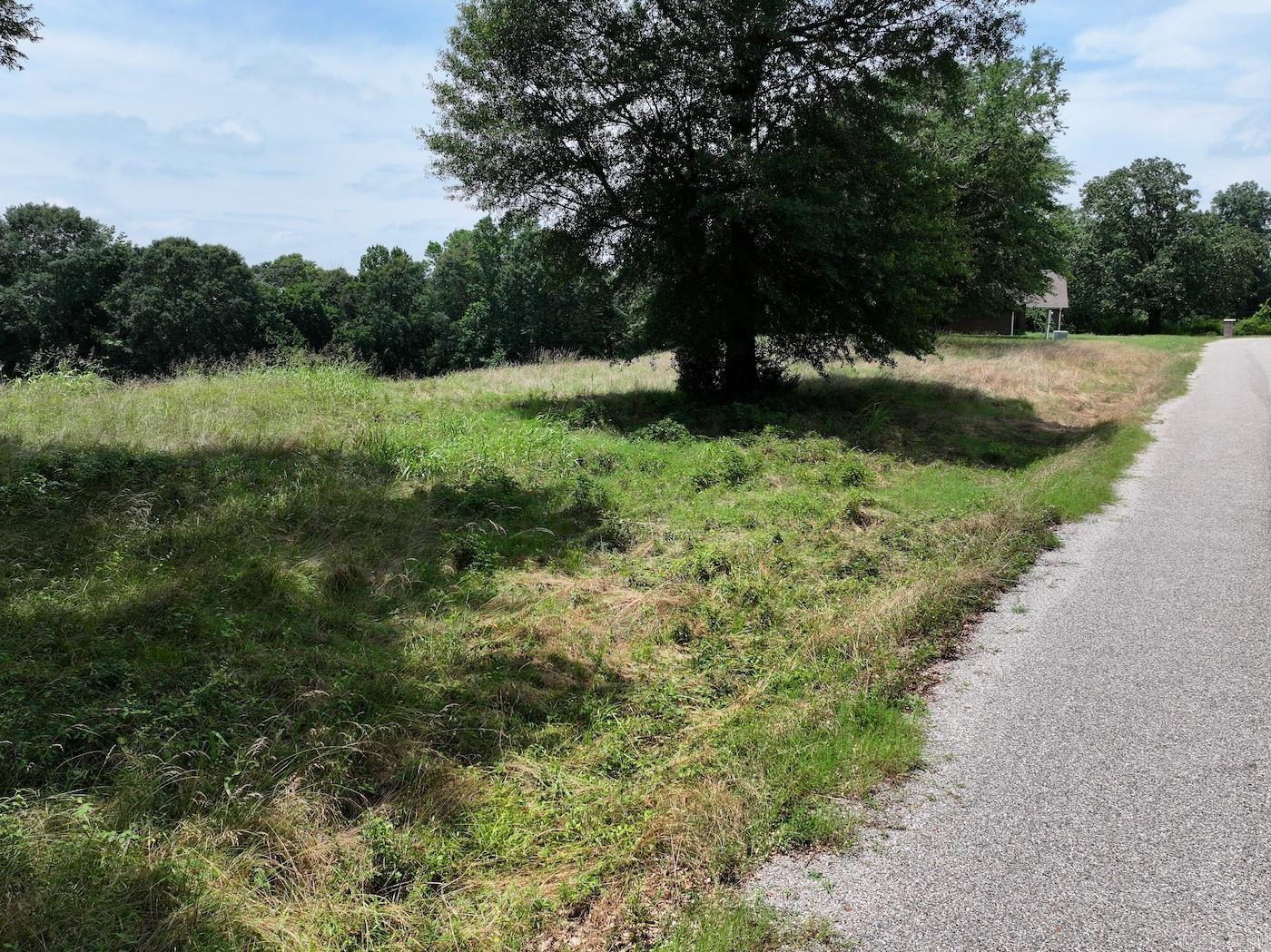 Lots 3 & 4 Riverview  Glenwood, AR