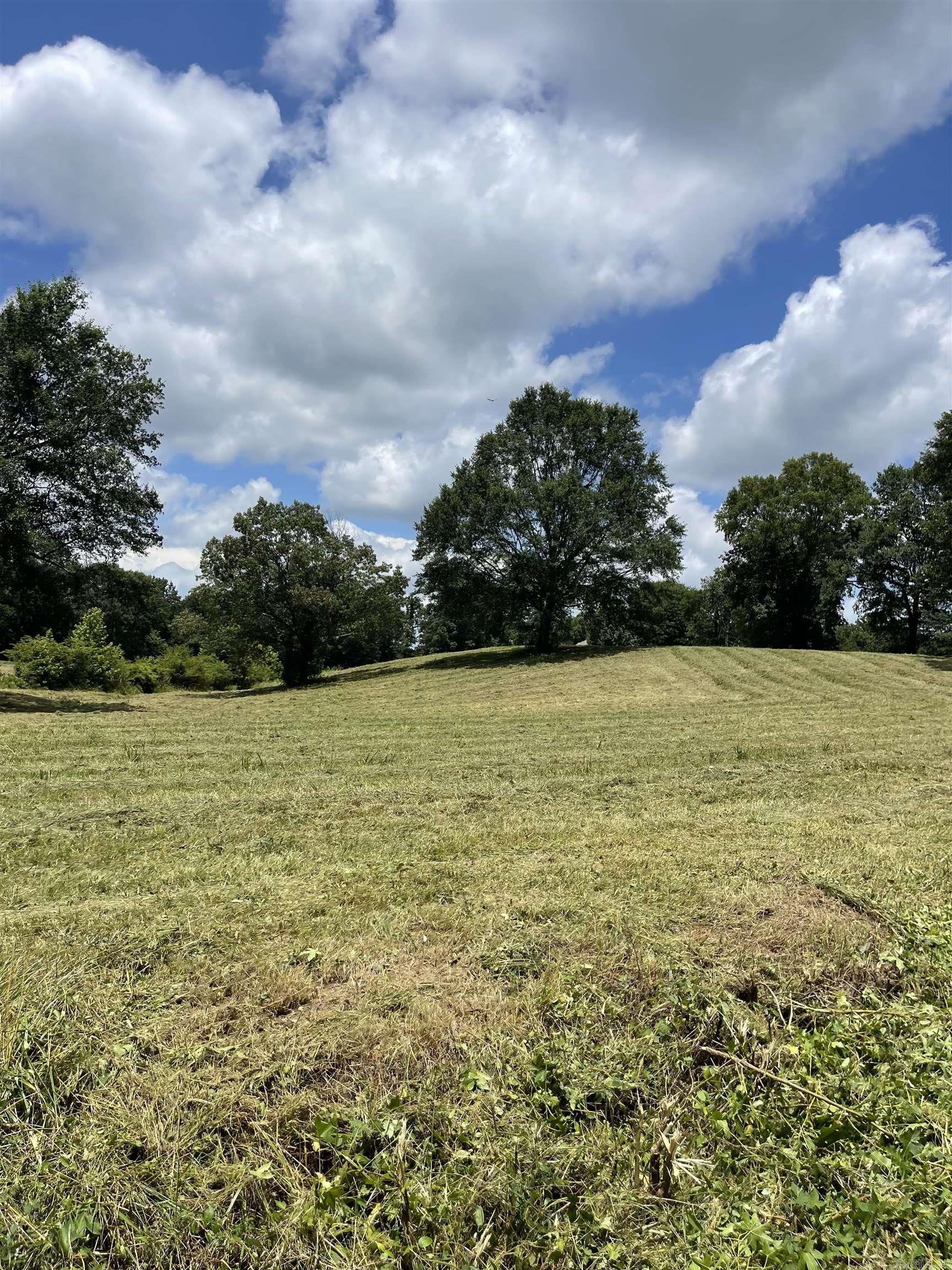 Lots 3 & 4 Riverview  Glenwood, AR