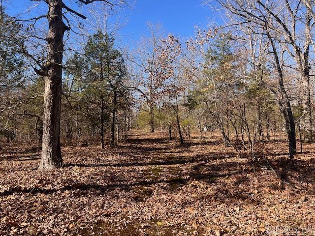  Monahan  Mountain View, AR