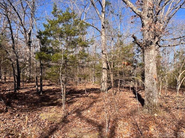  Monahan  Mountain View, AR