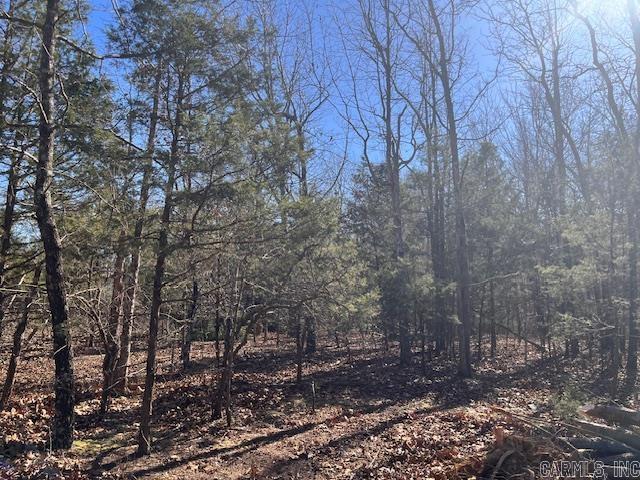  Monahan  Mountain View, AR