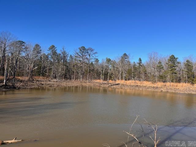  Monahan  Mountain View, AR