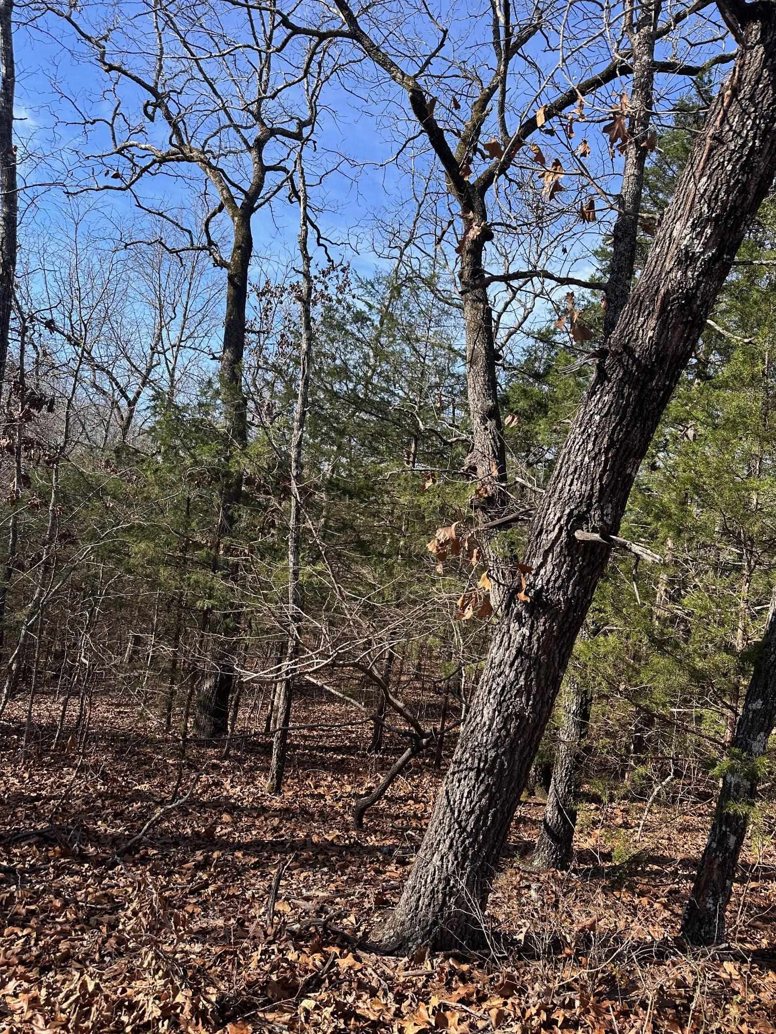 0 Chippewa  Cherokee Village, AR