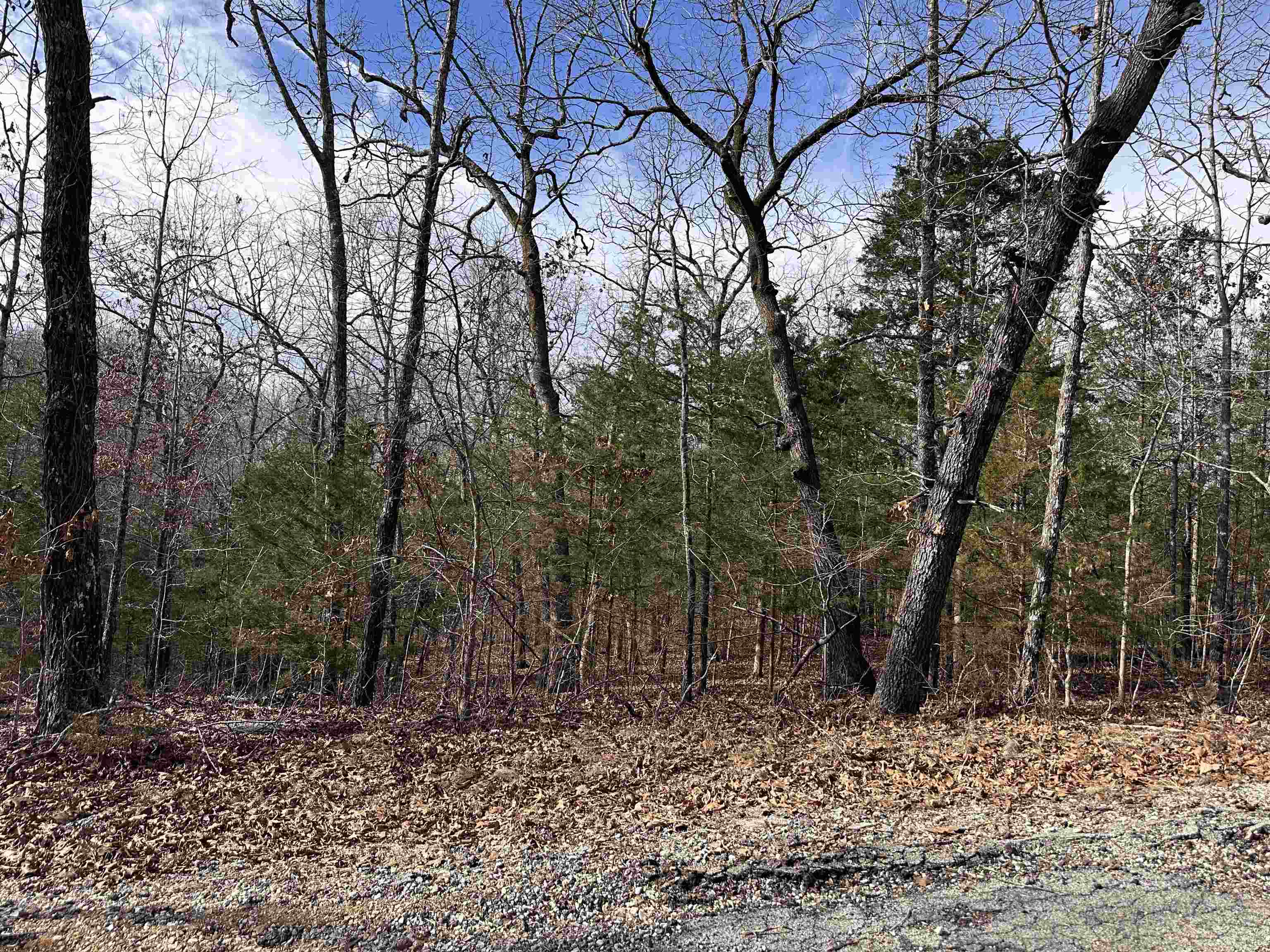 0 Chippewa  Cherokee Village, AR