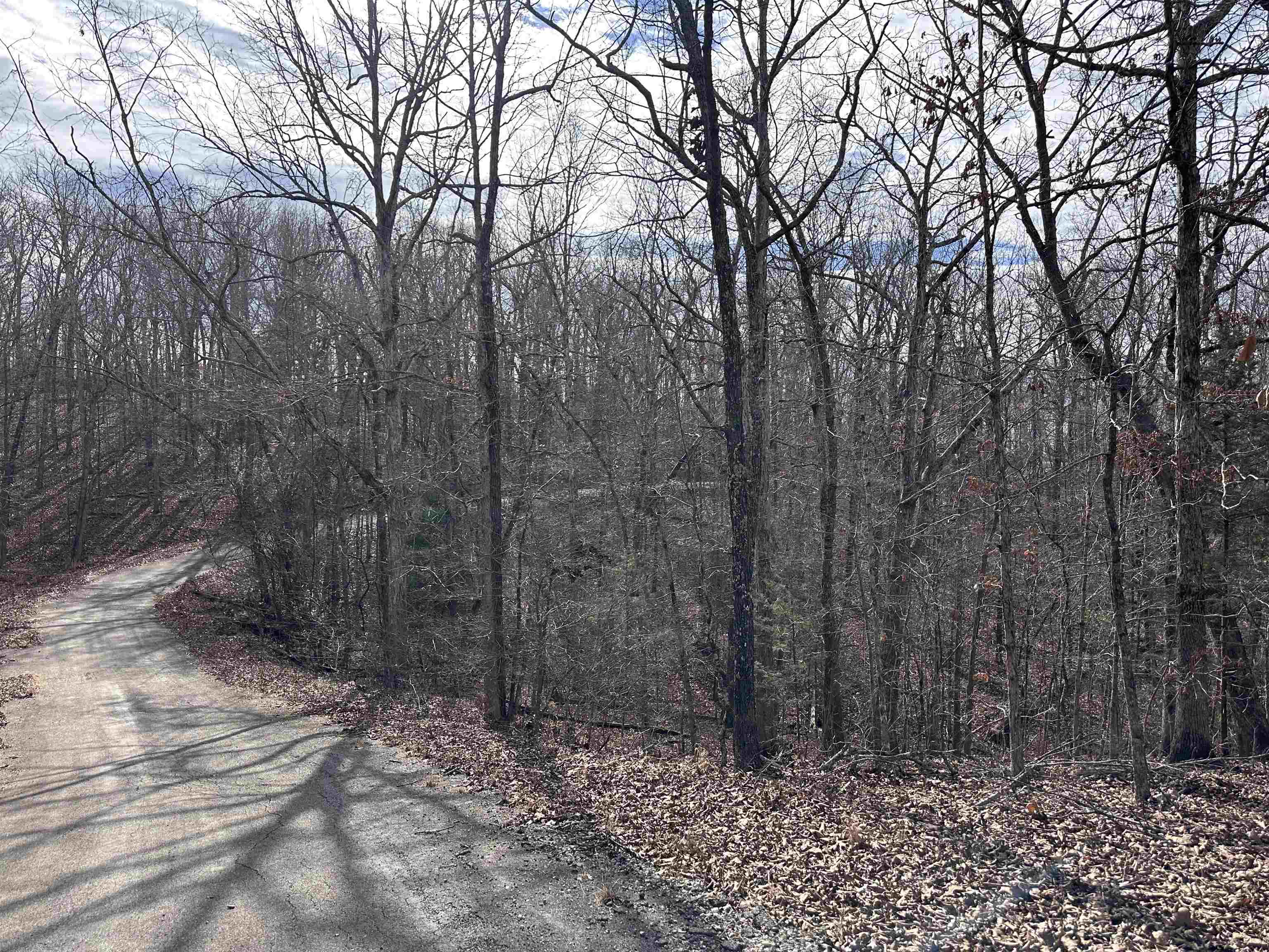 0 Chippewa  Cherokee Village, AR