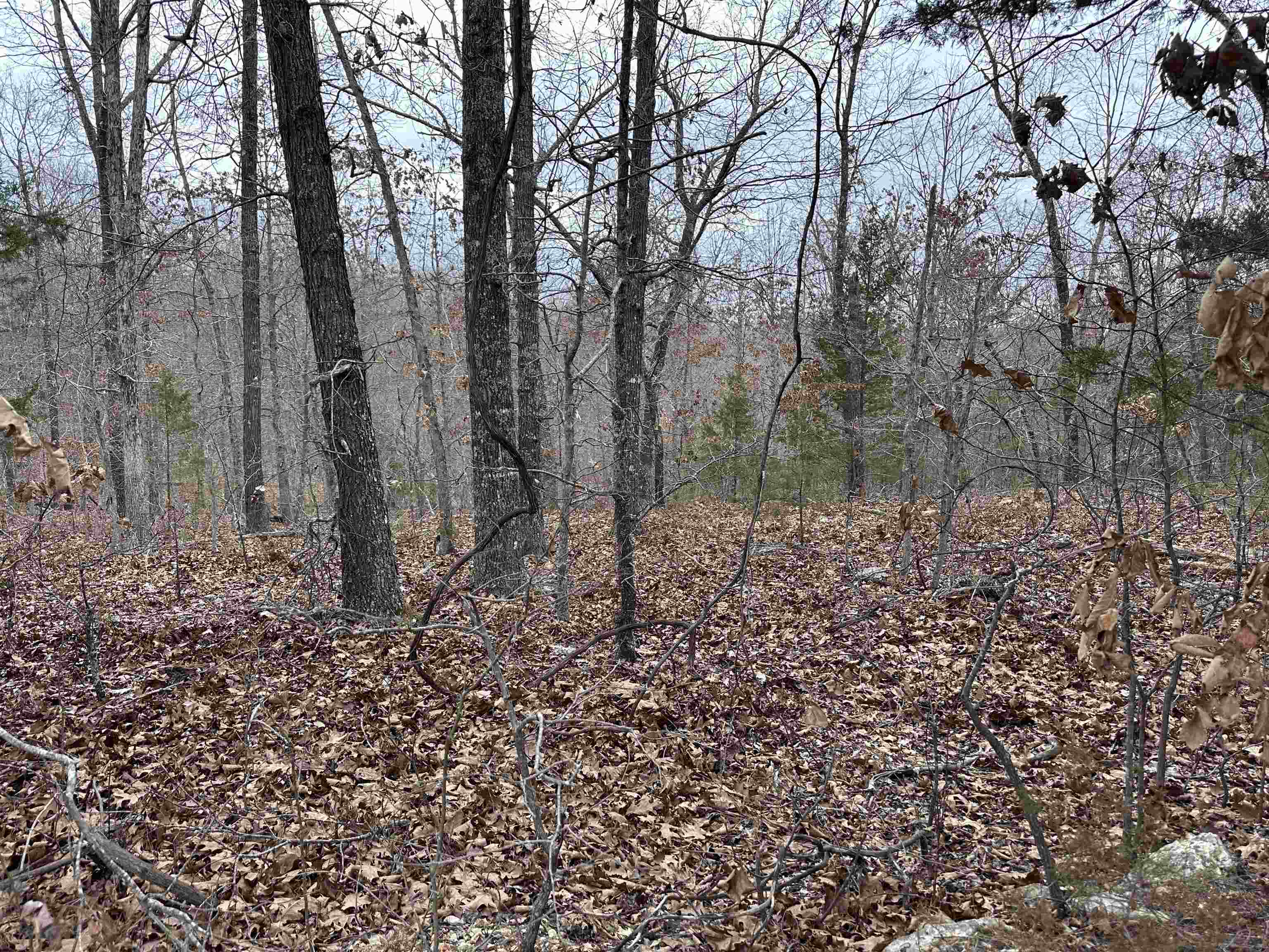 0 Loxahatchee  Cherokee Village, AR