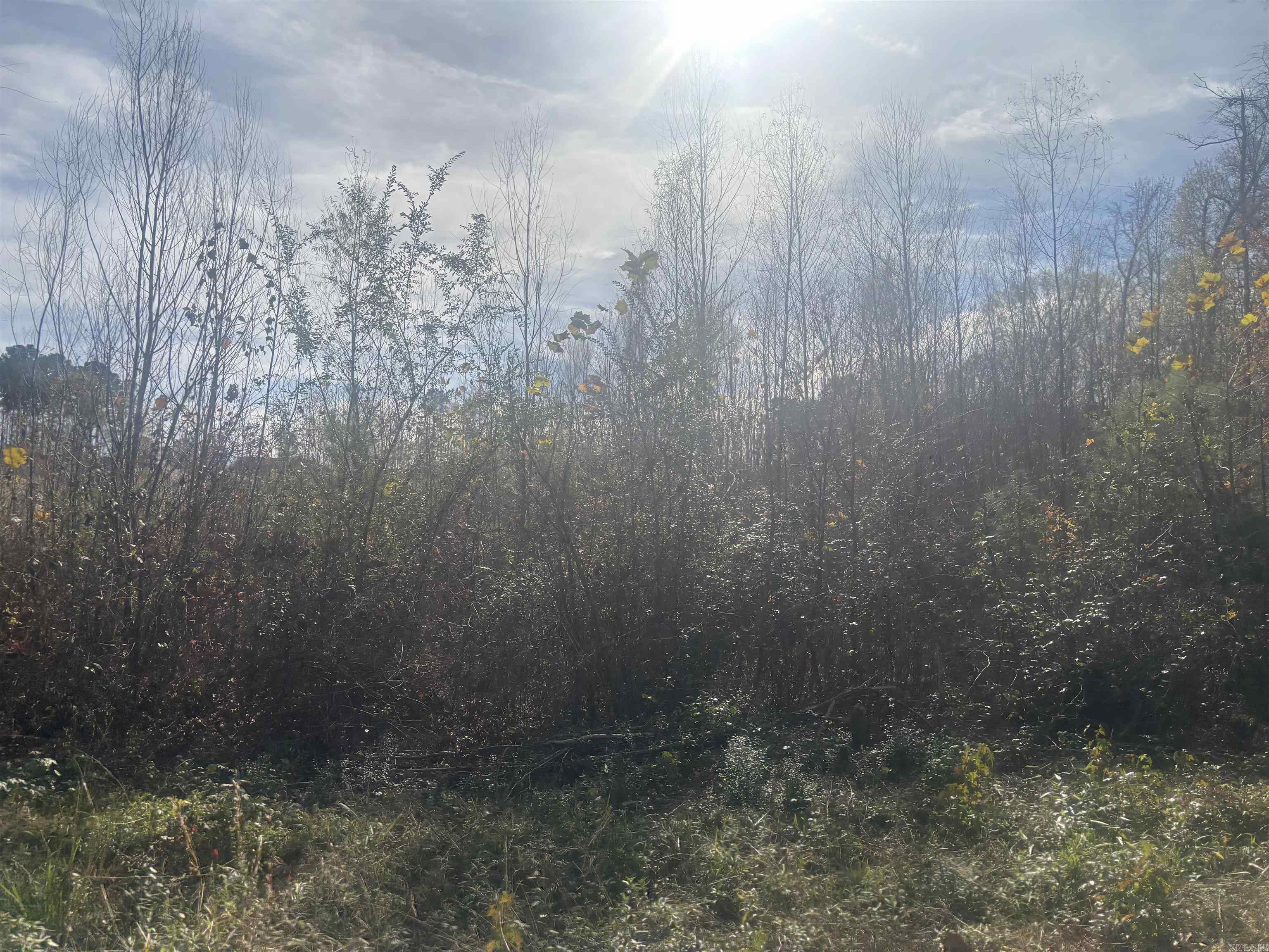 000 Sidell  Benton, AR