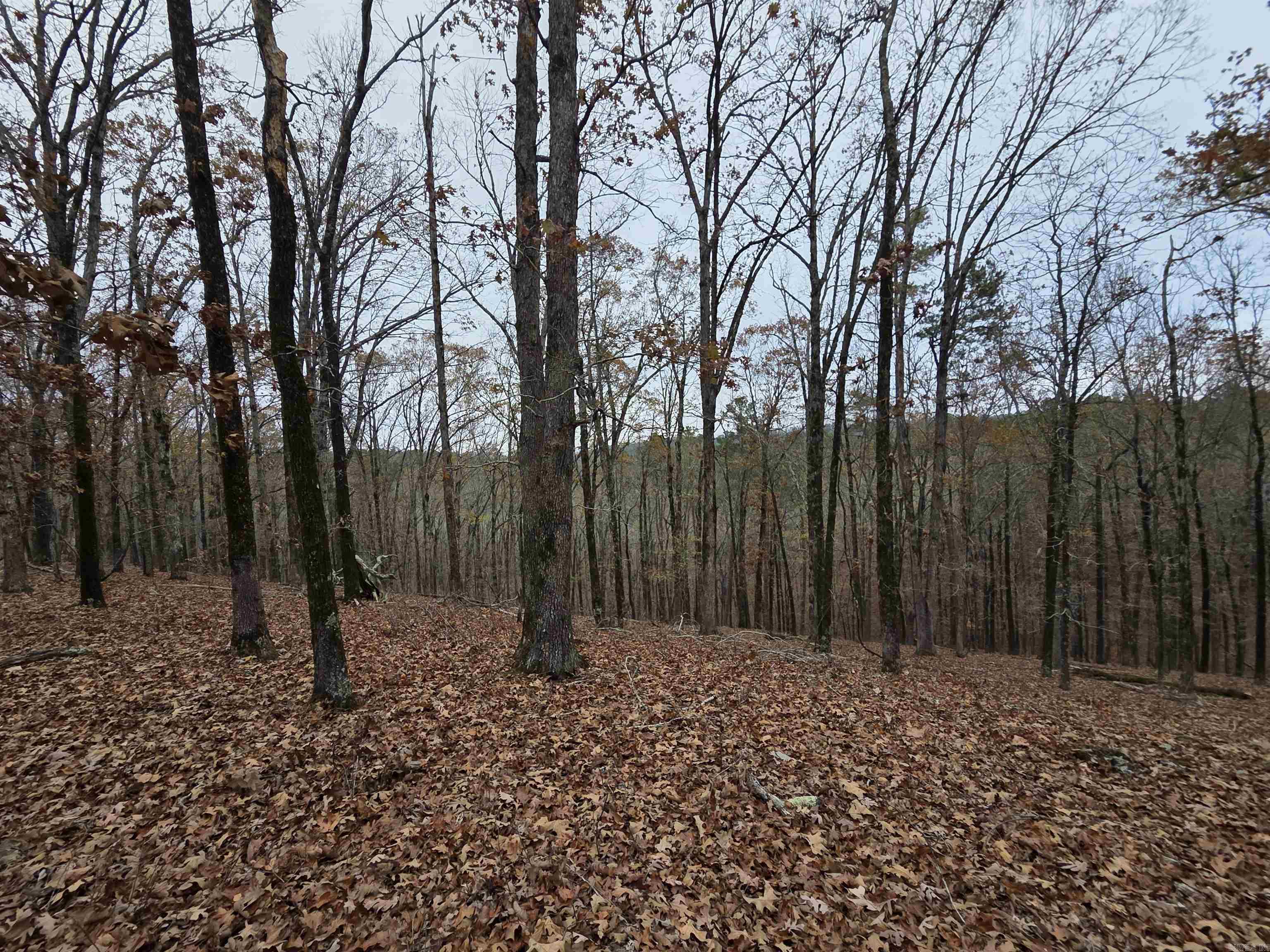 00 Colonel Glenn  Little Rock, AR