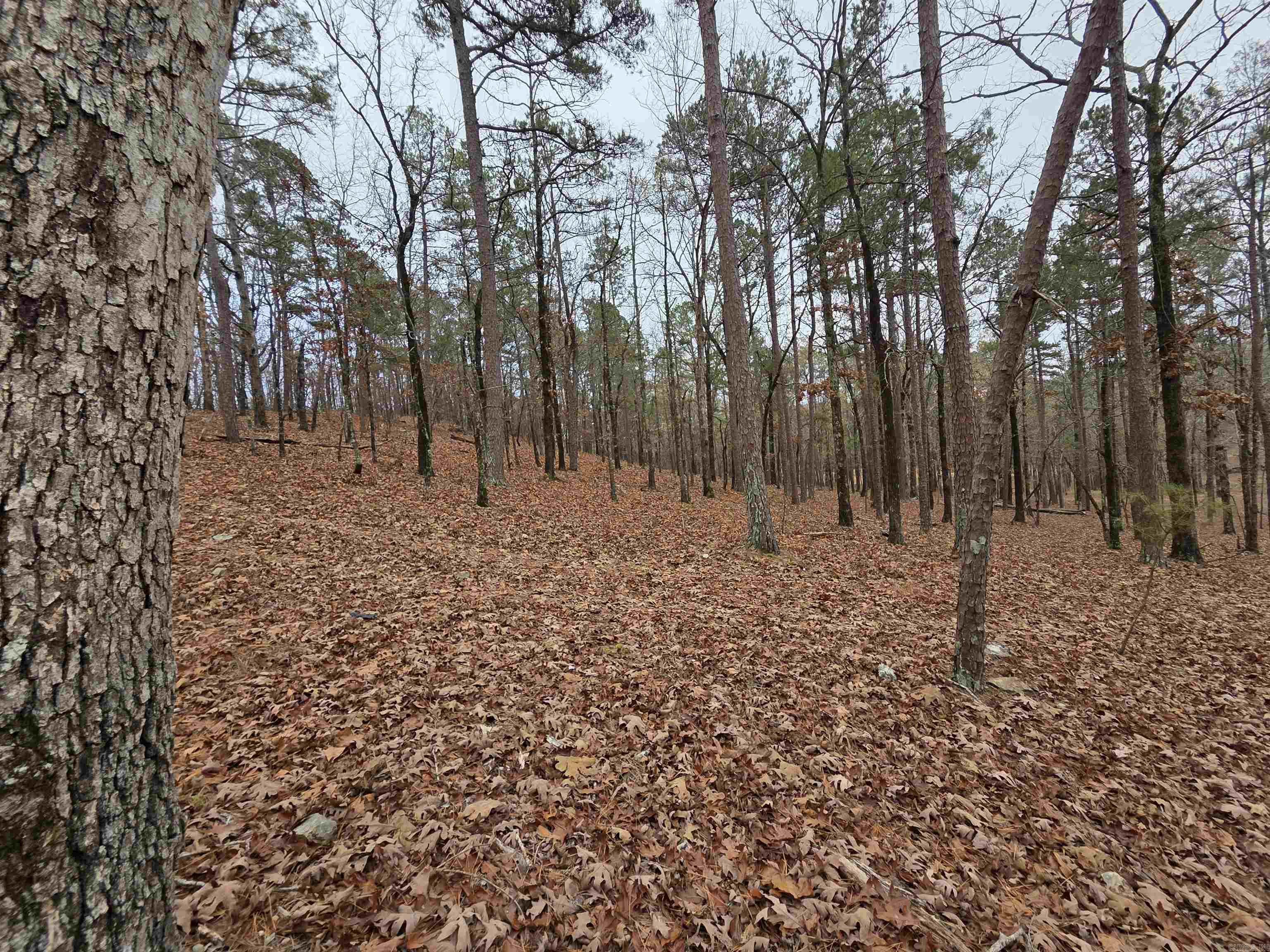 00 Colonel Glenn  Little Rock, AR