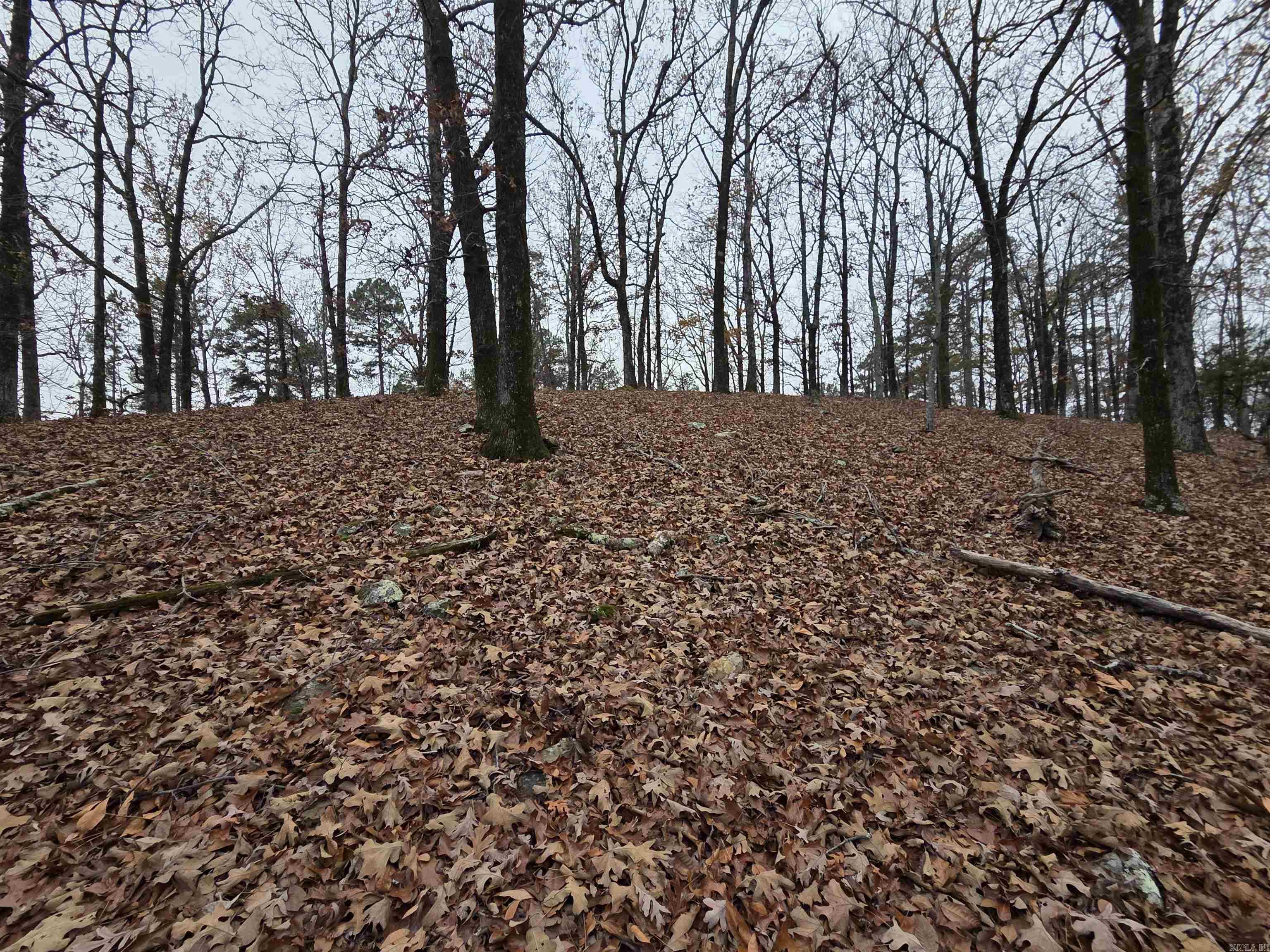 00 Colonel Glenn  Little Rock, AR