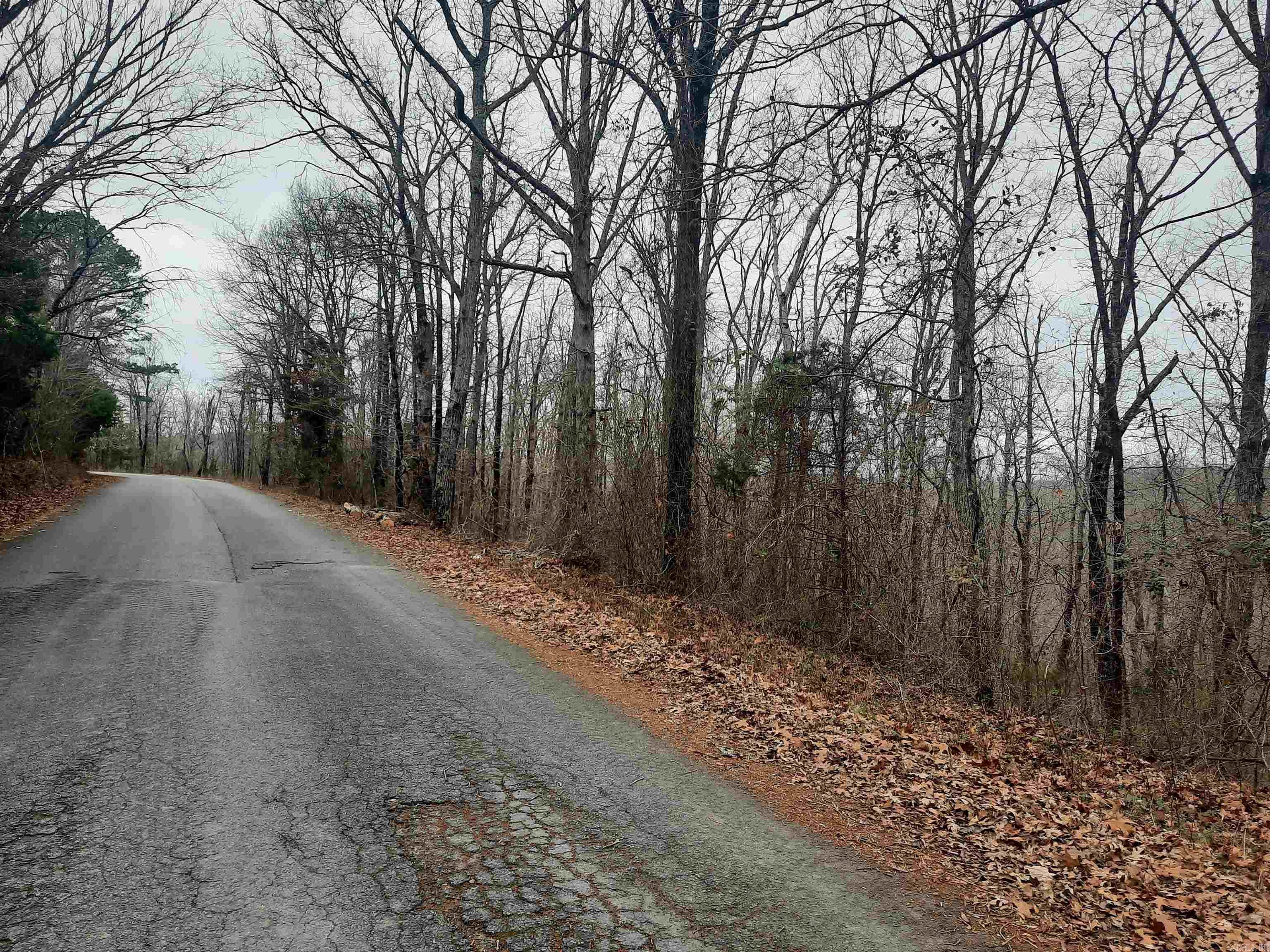 000 Dodd Mountain  Shirley, AR