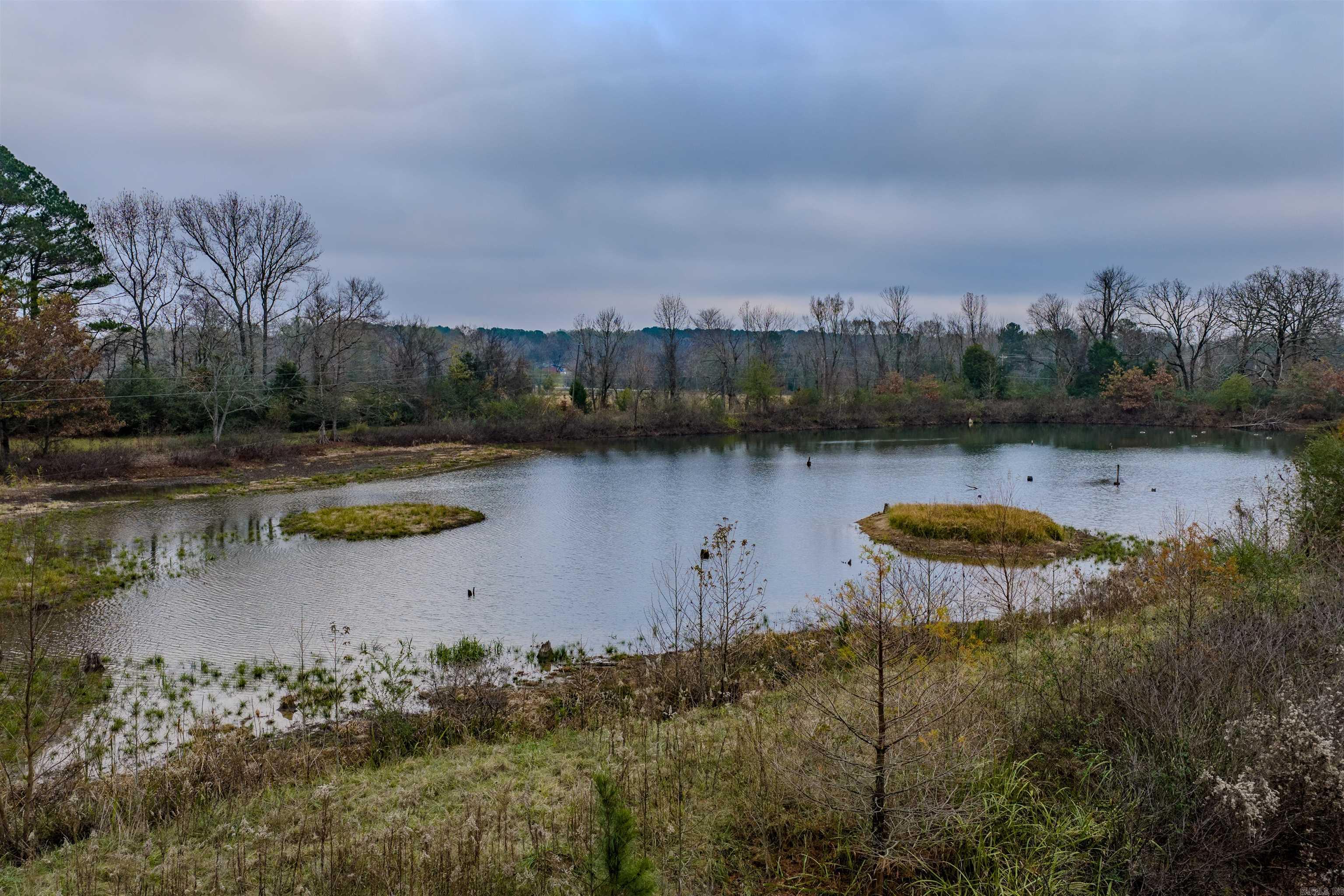 11700 AVILLA WEST  Alexander, AR