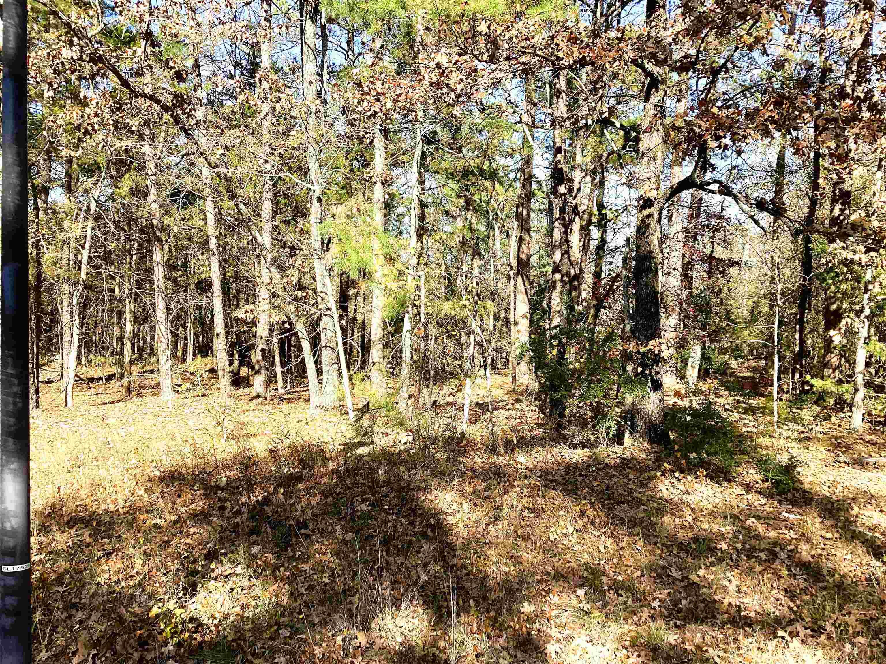 1 Veranillo  Hot Springs Village, AR