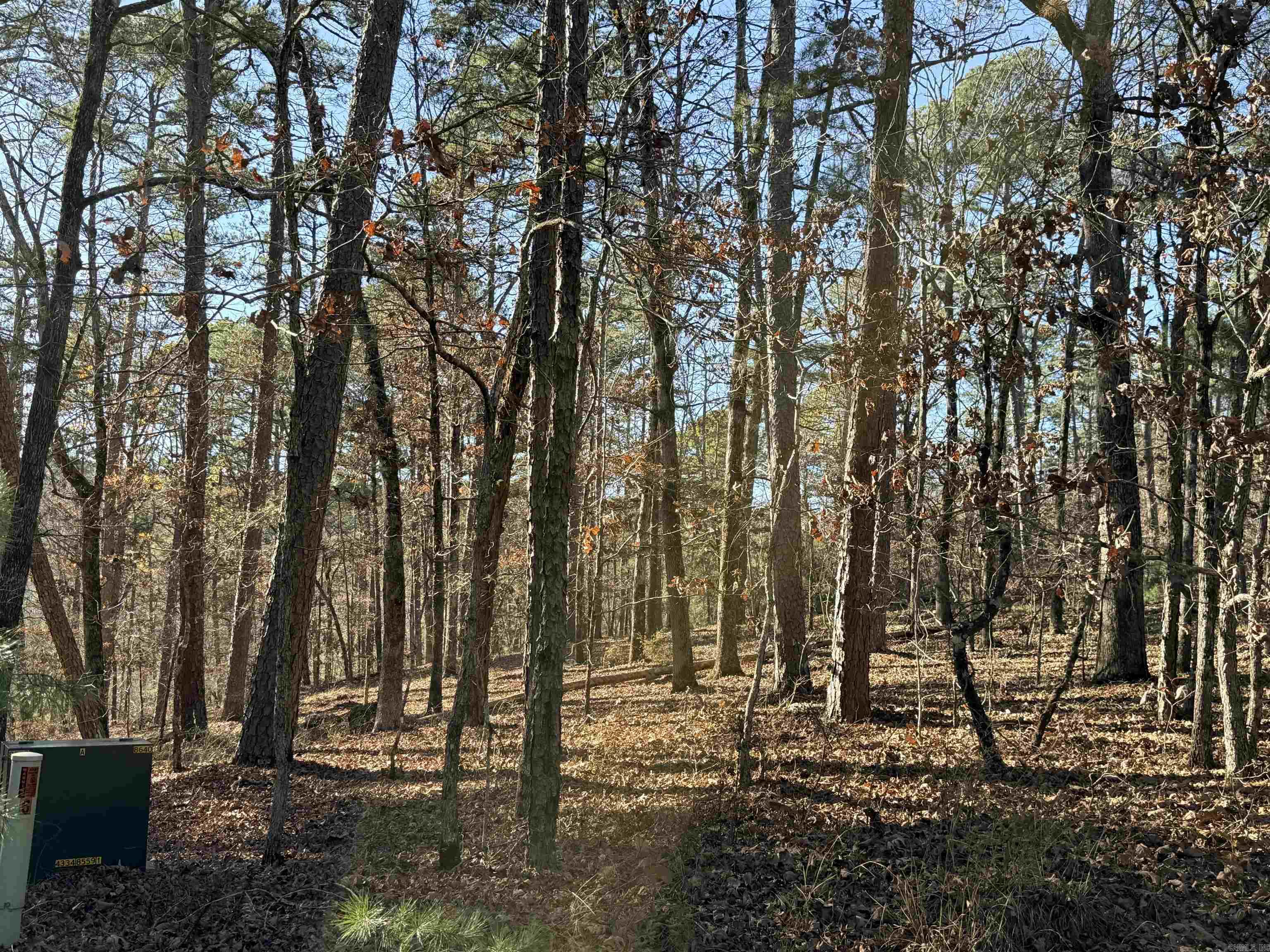 4 Tolosa  Hot Springs Village, AR