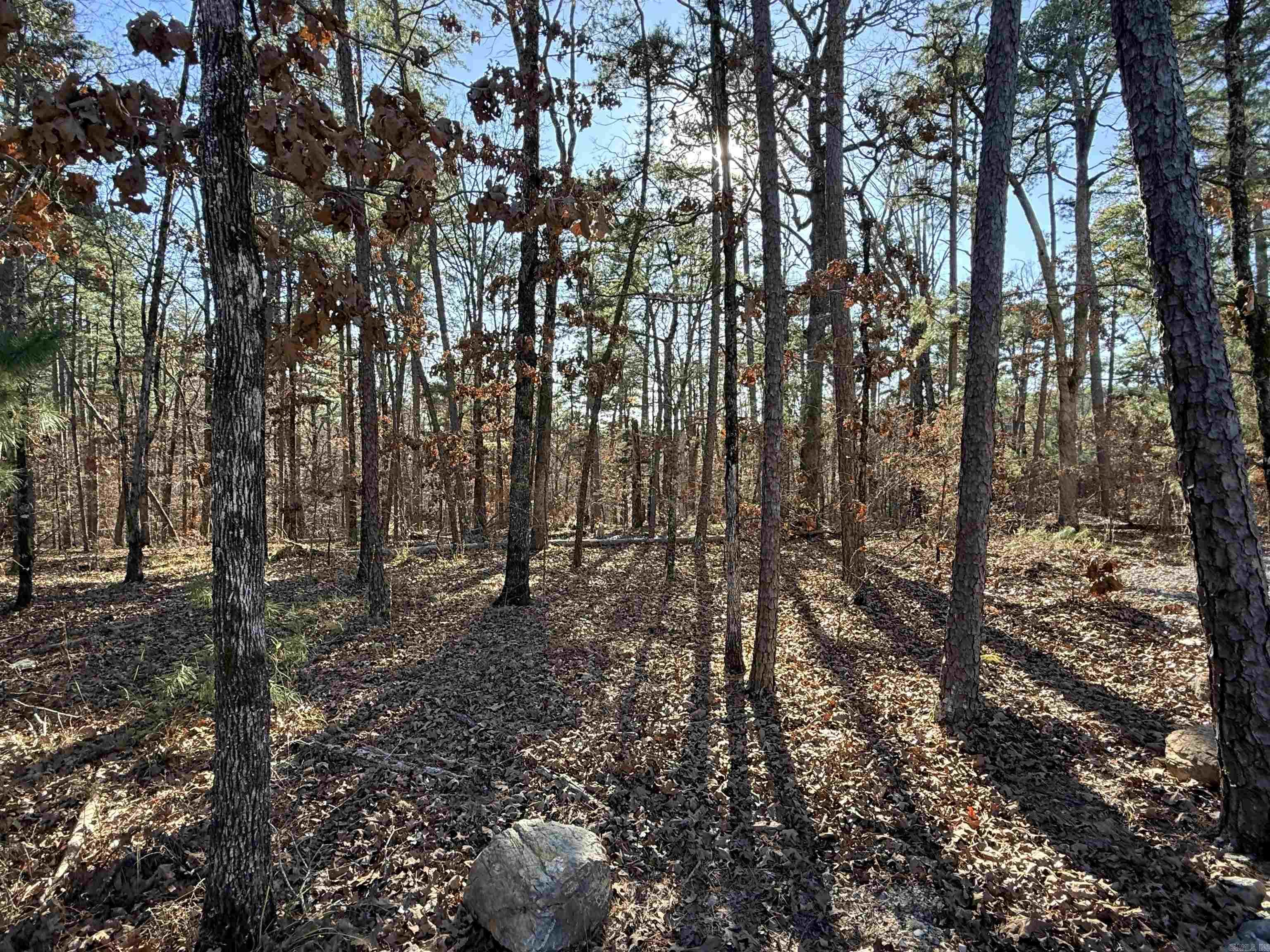 4 Tolosa  Hot Springs Village, AR