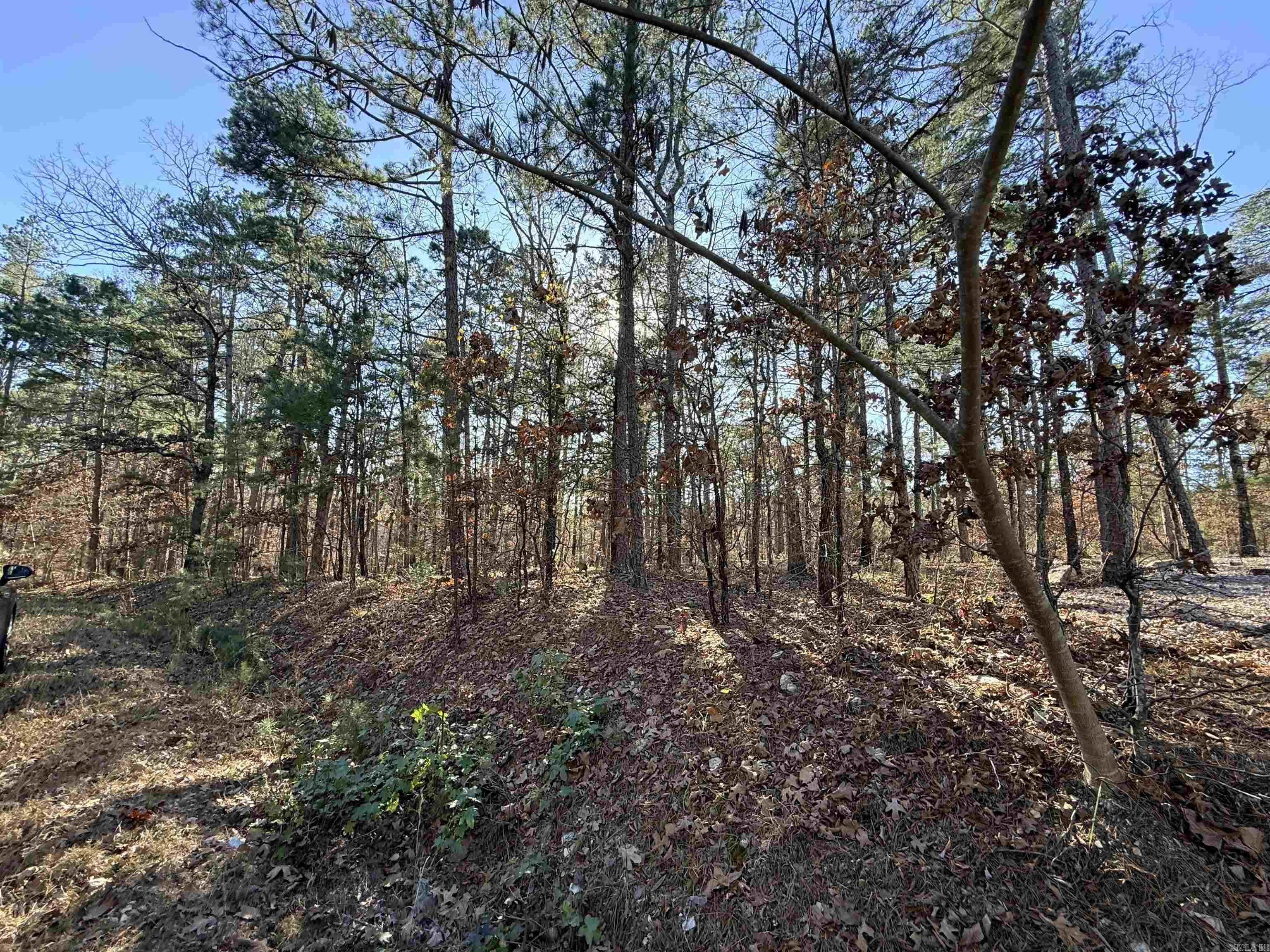 4 Tolosa  Hot Springs Village, AR