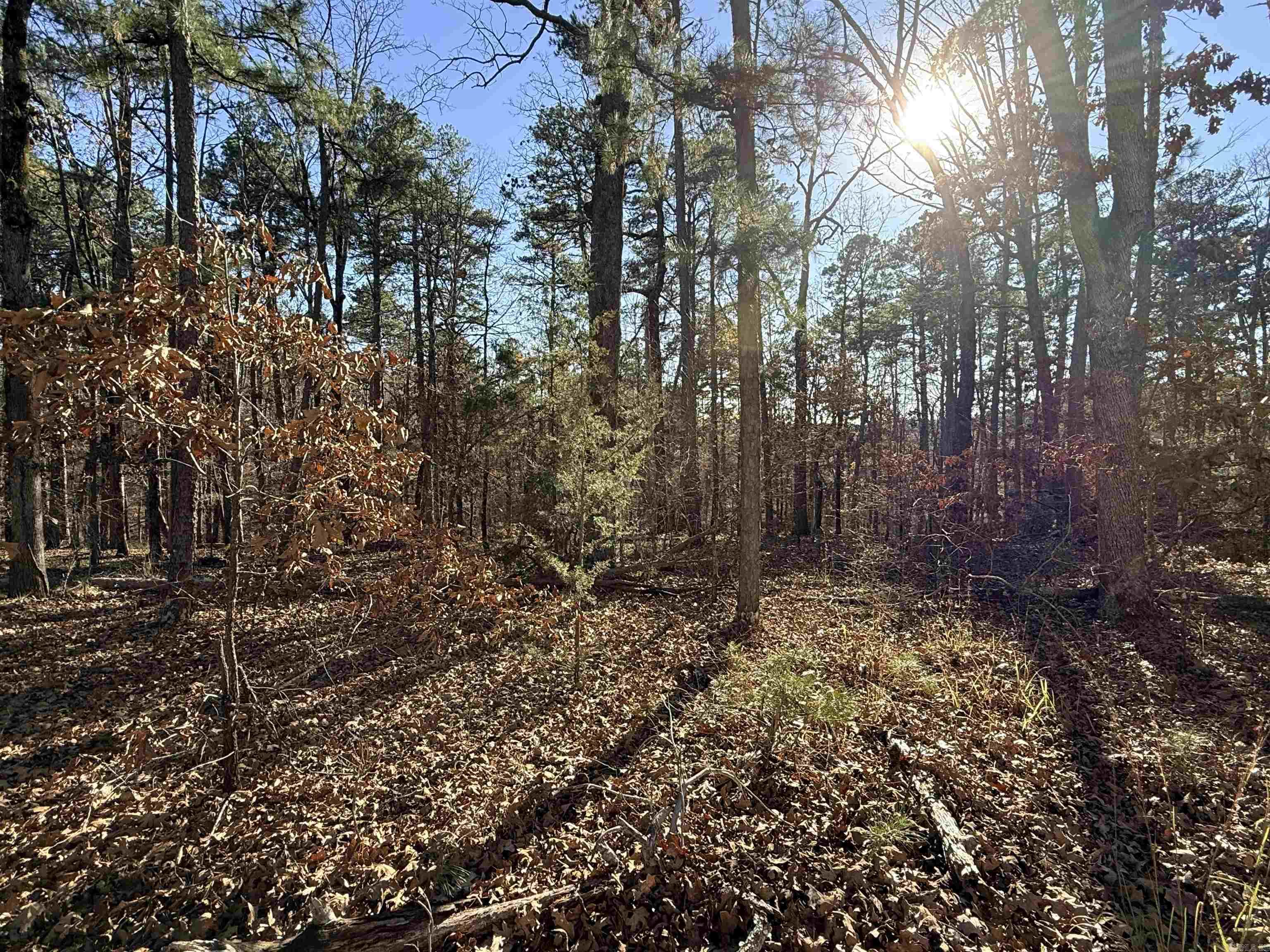 4 Tolosa  Hot Springs Village, AR