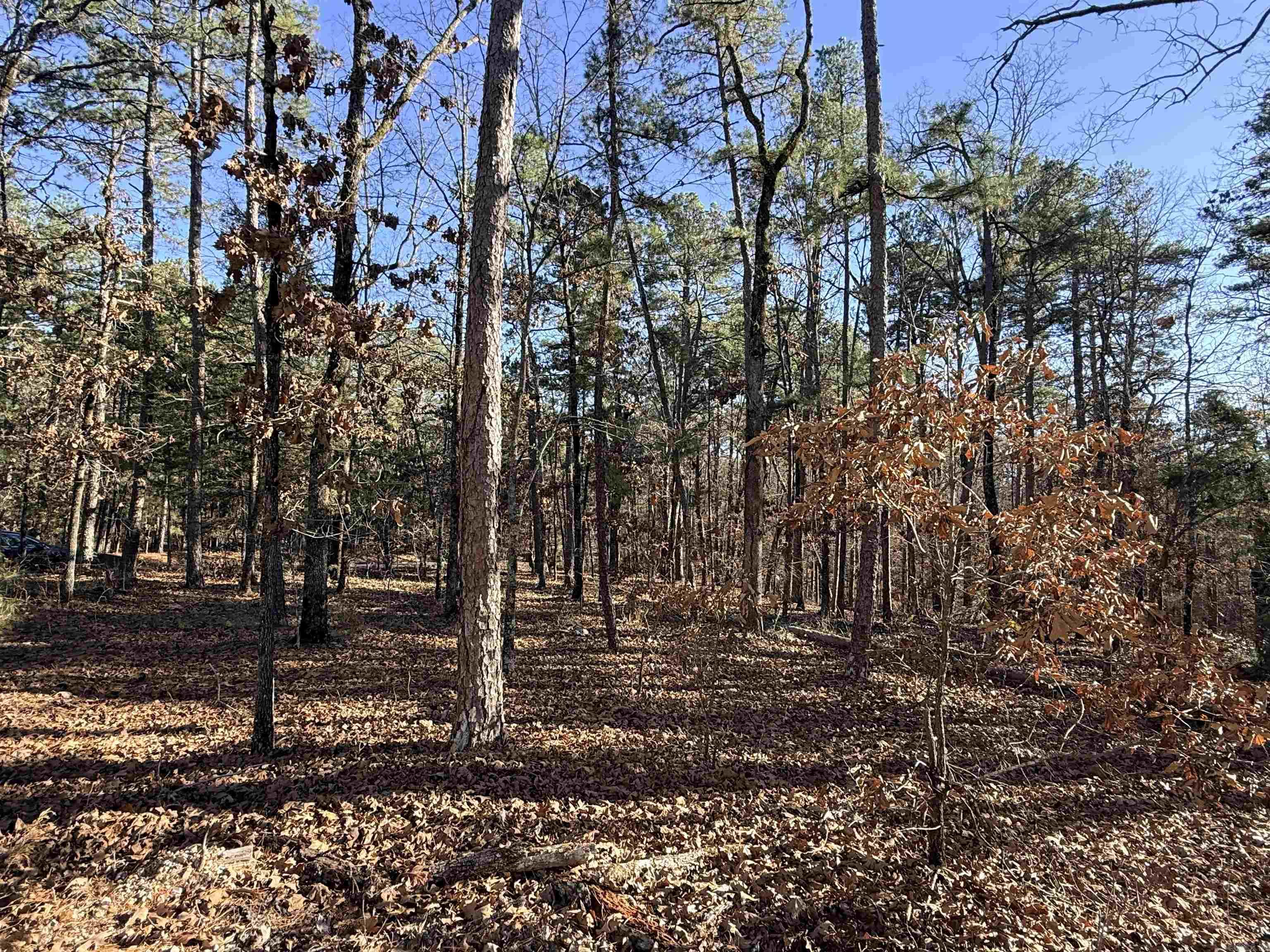 4 Tolosa  Hot Springs Village, AR