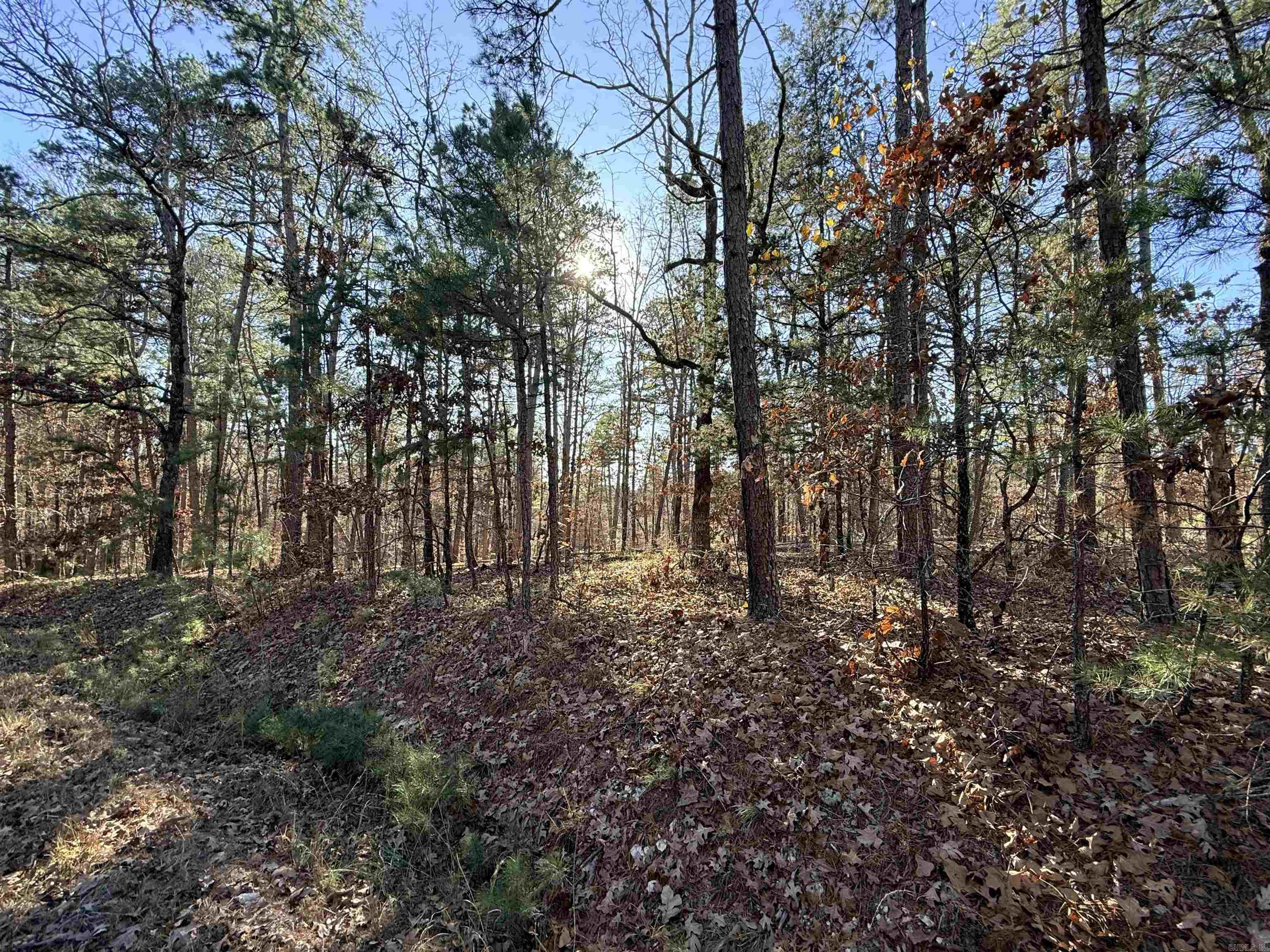 4 Tolosa  Hot Springs Village, AR