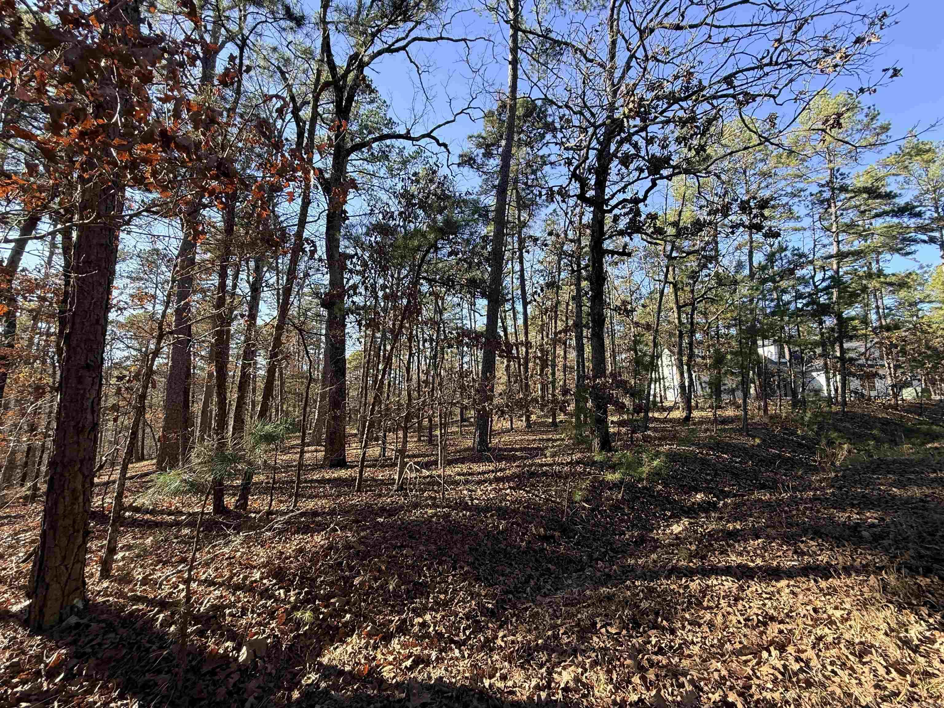 4 Tolosa  Hot Springs Village, AR