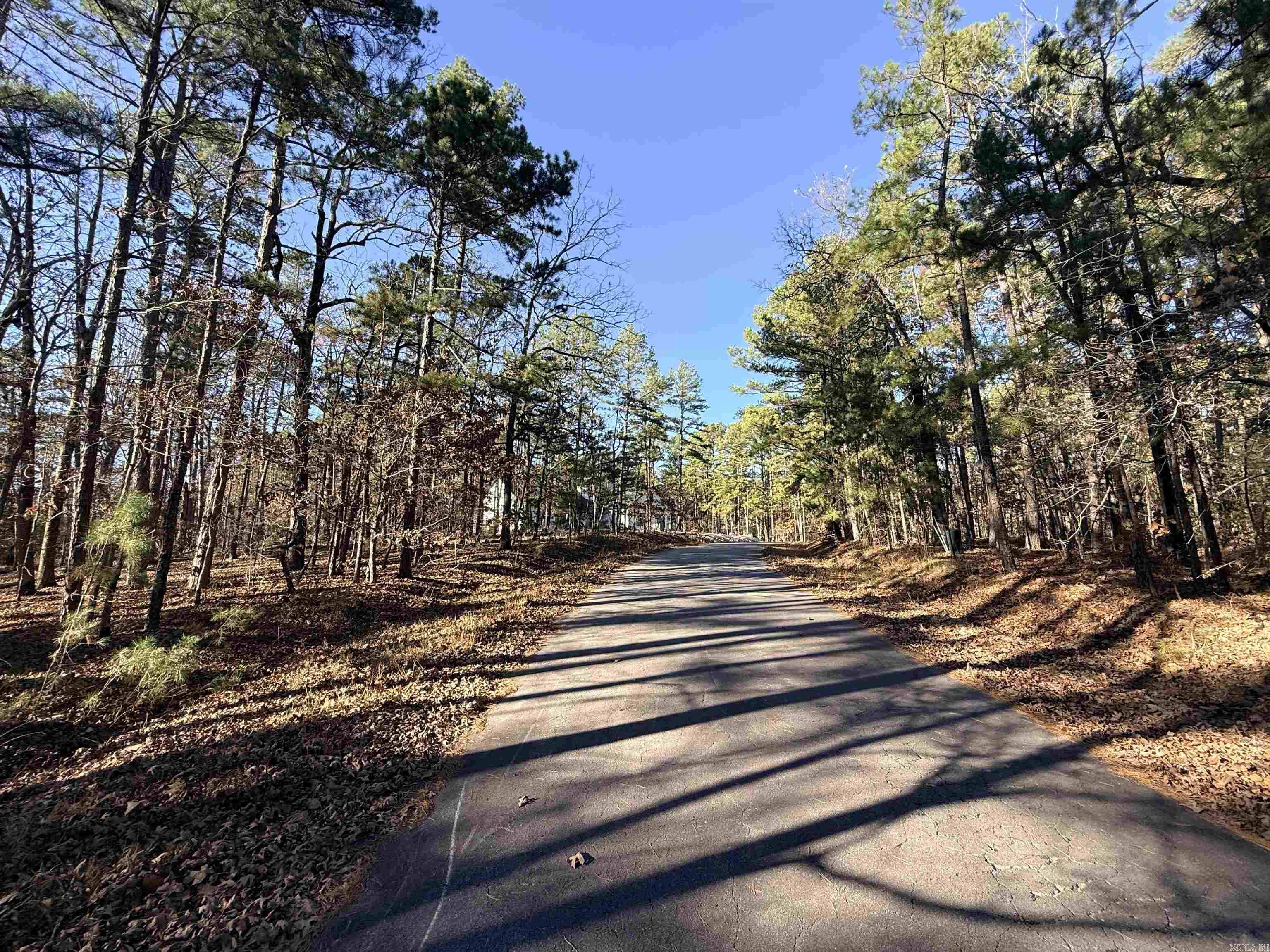 4 Tolosa  Hot Springs Village, AR