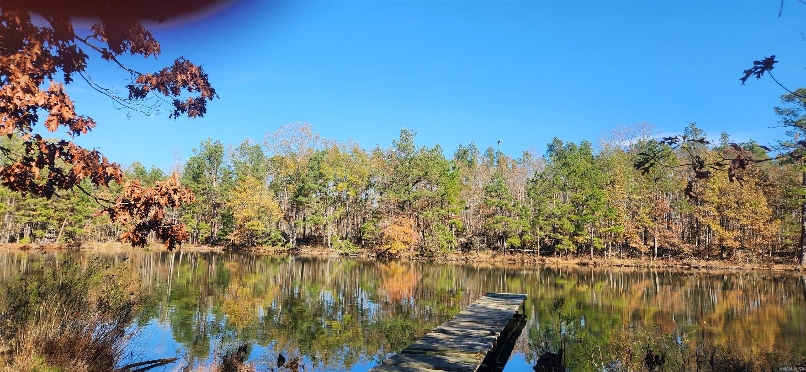 260 Burkhardt Drive Rison, AR 71665