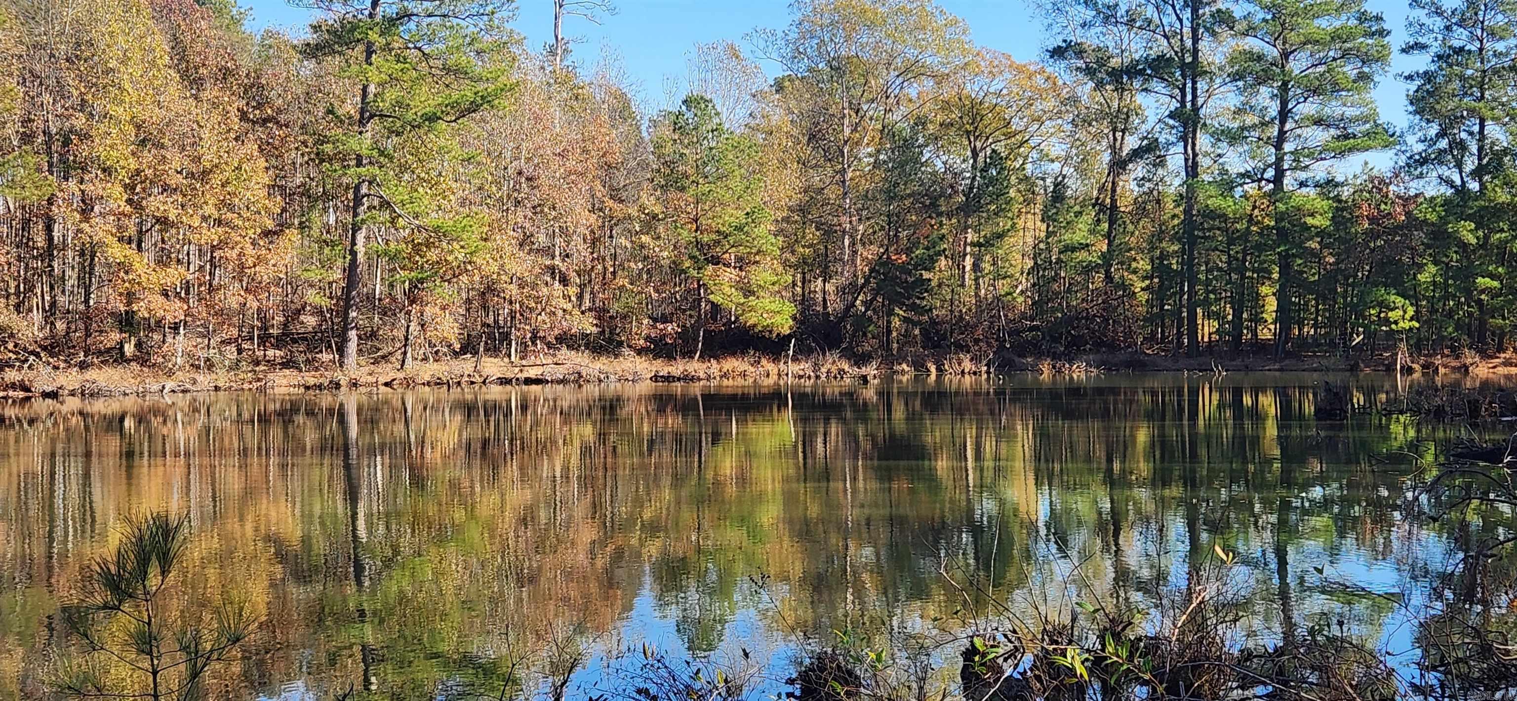 260 Burkhardt  Rison, AR