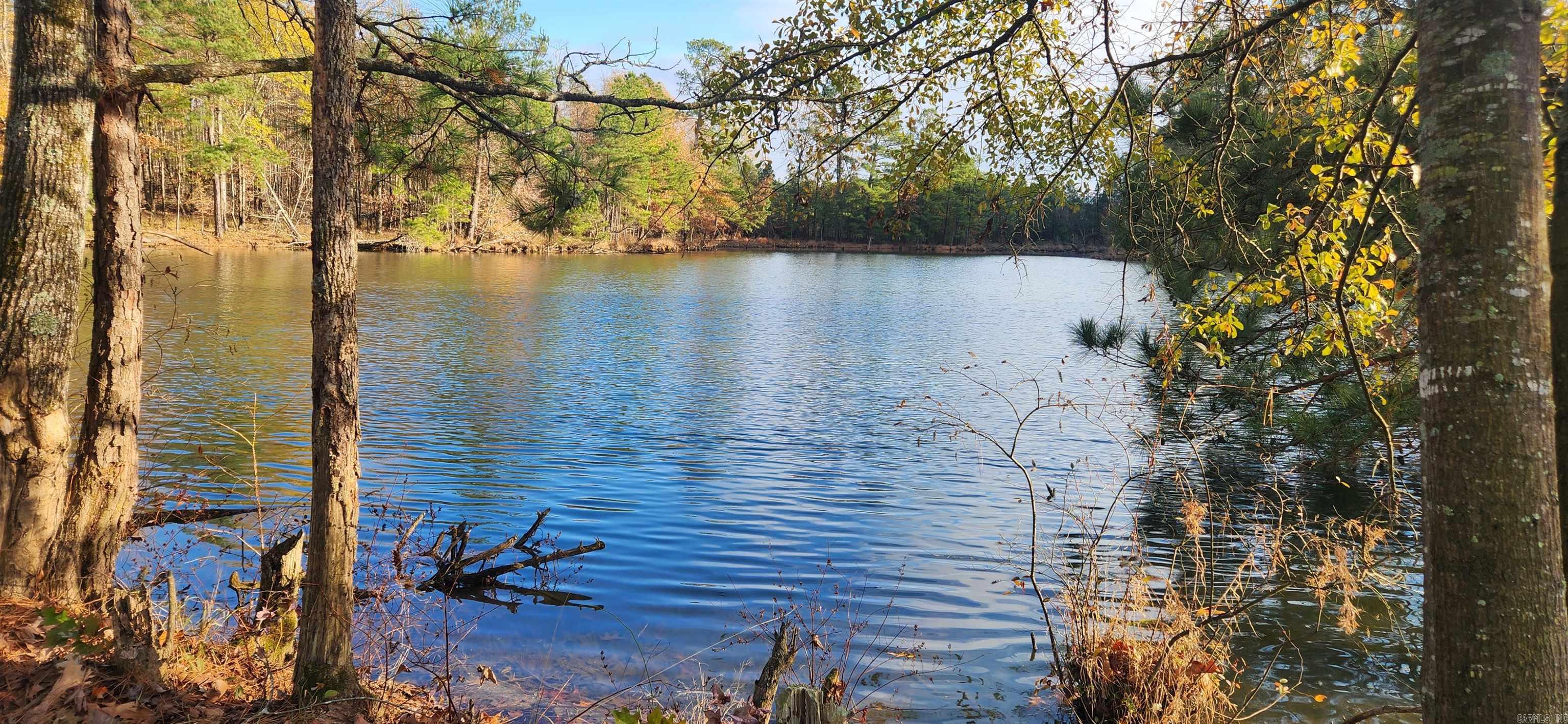 260 Burkhardt Drive Rison, AR 71665