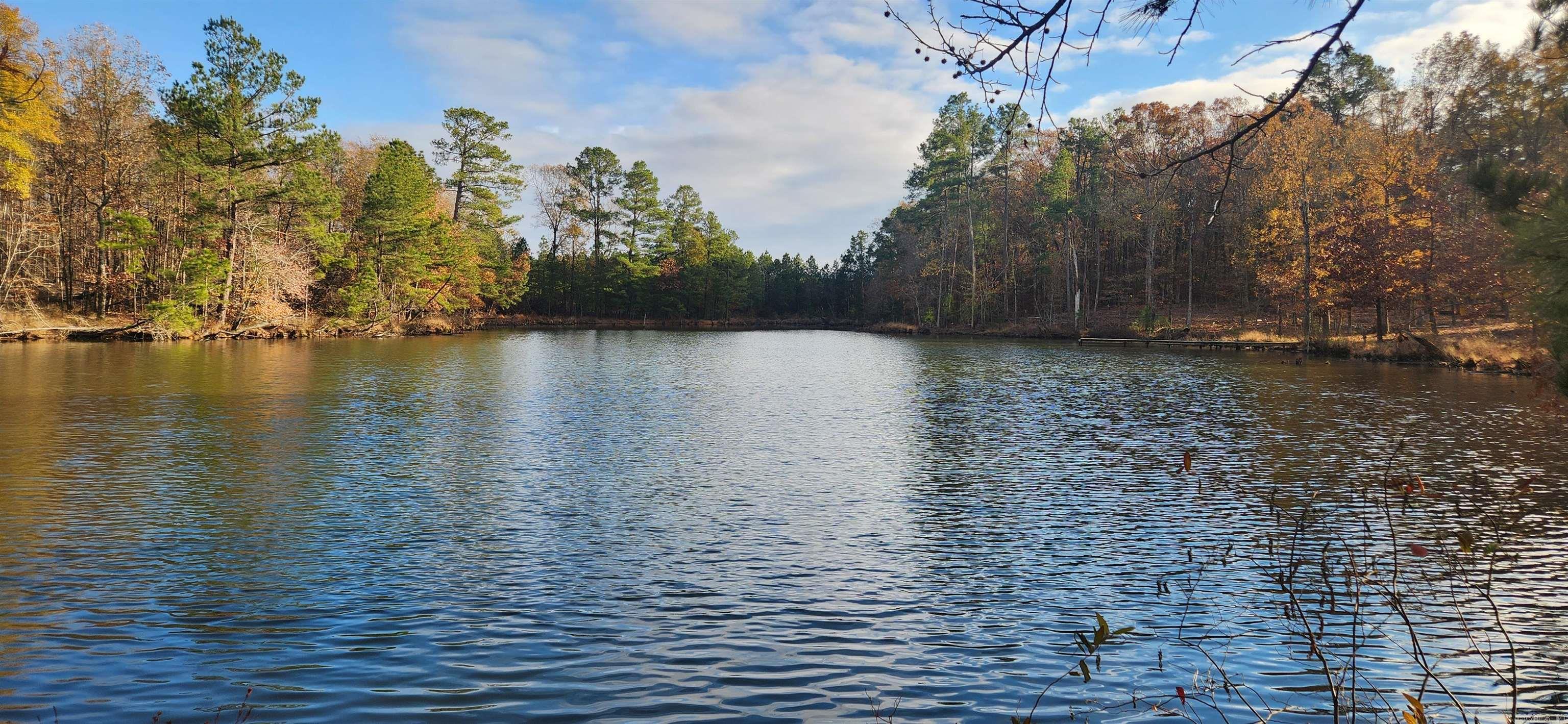 260 Burkhardt Drive Rison, AR 71665