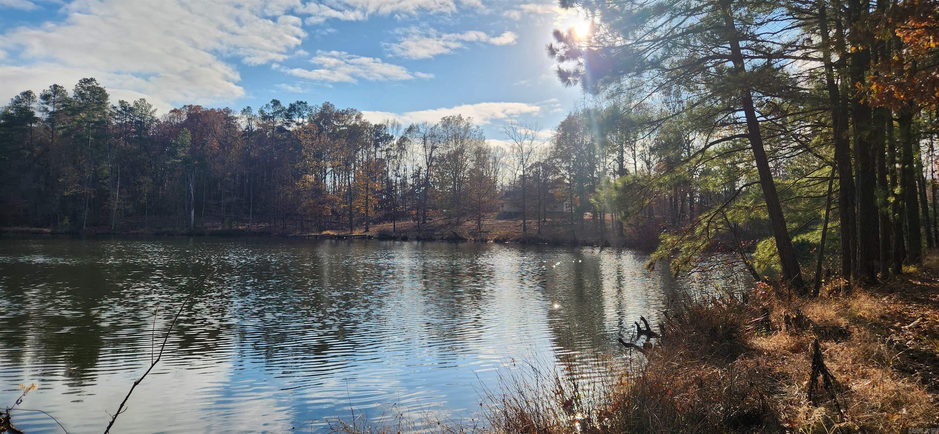 260 Burkhardt Drive Rison, AR 71665