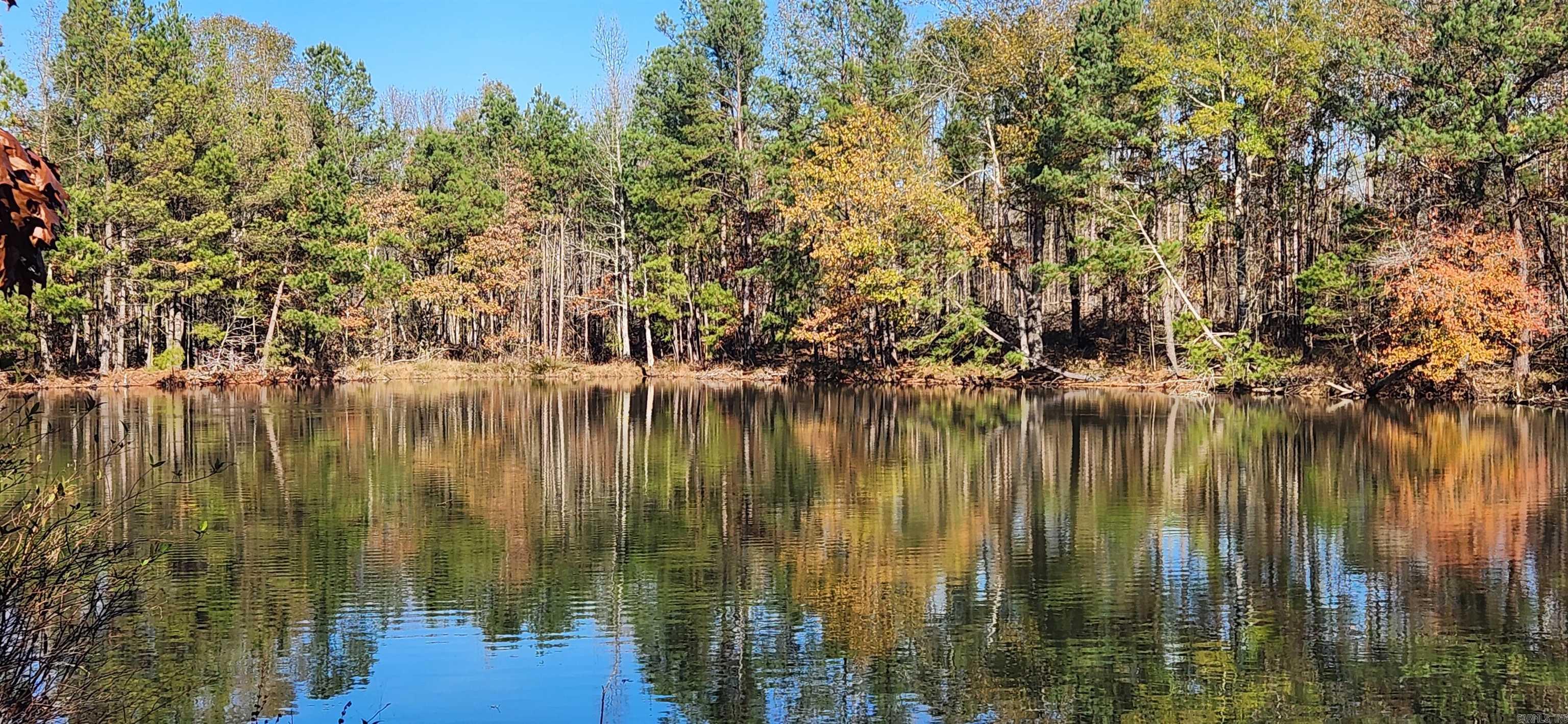 260 Burkhardt Drive Rison, AR 71665