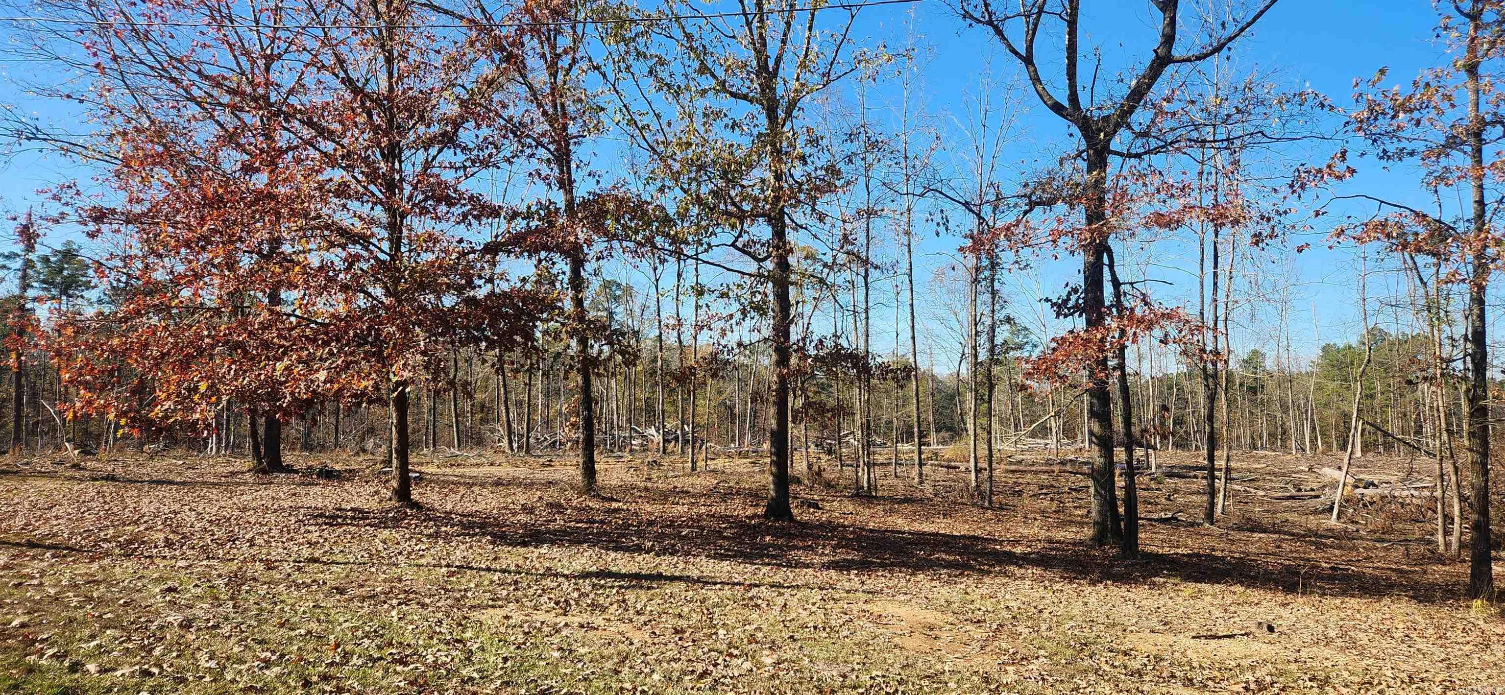 260 Burkhardt Drive Rison, AR 71665