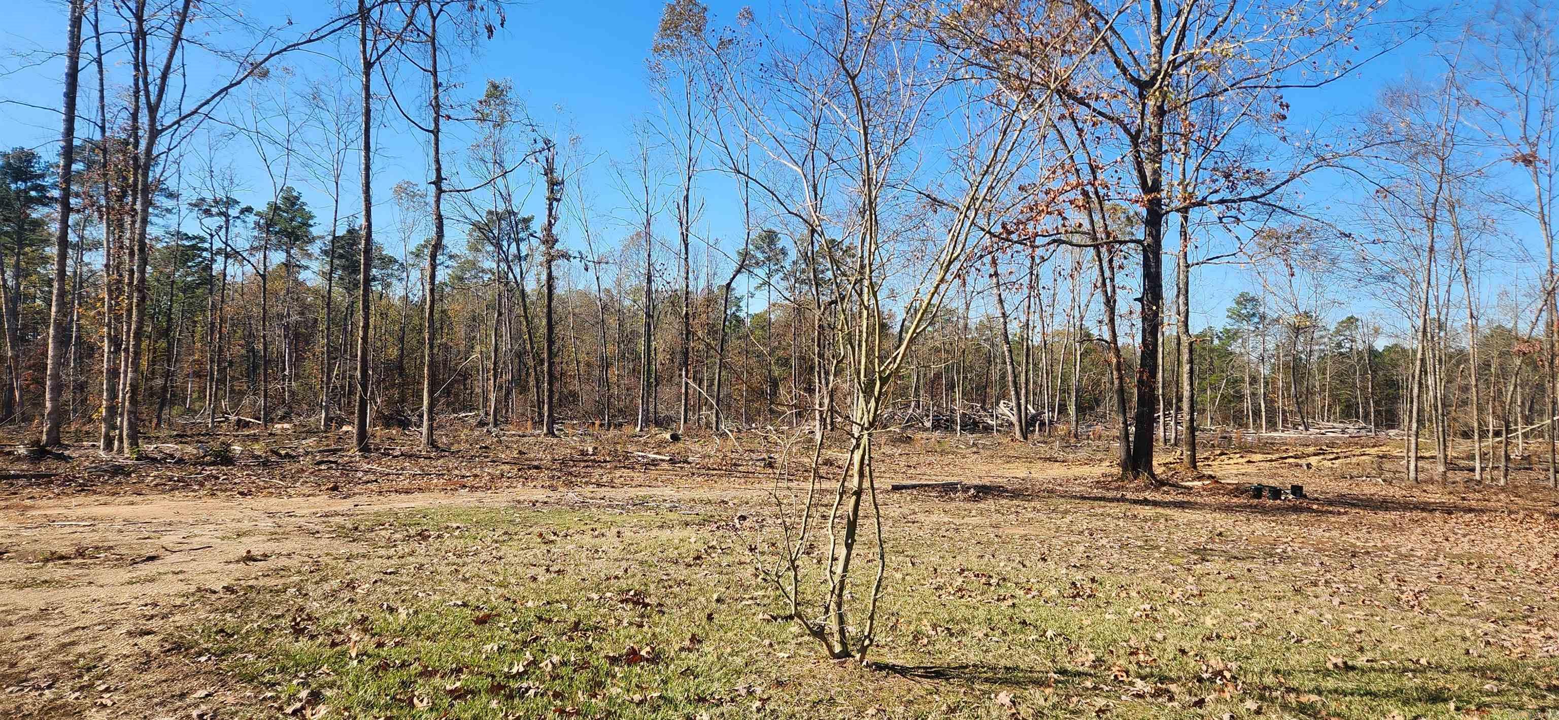 260 Burkhardt Drive Rison, AR 71665