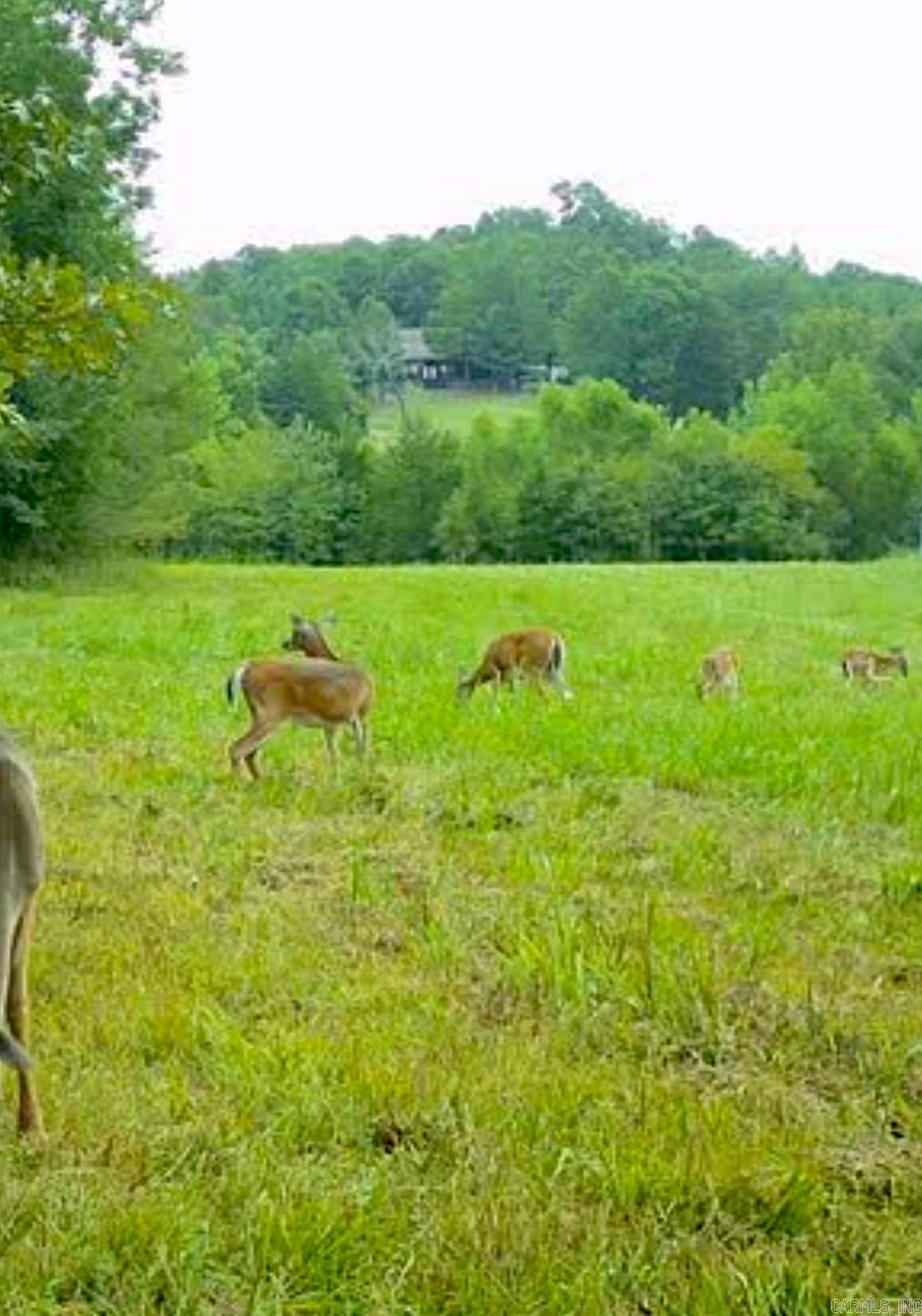 150 Twin Creeks  Ben Lomond, AR