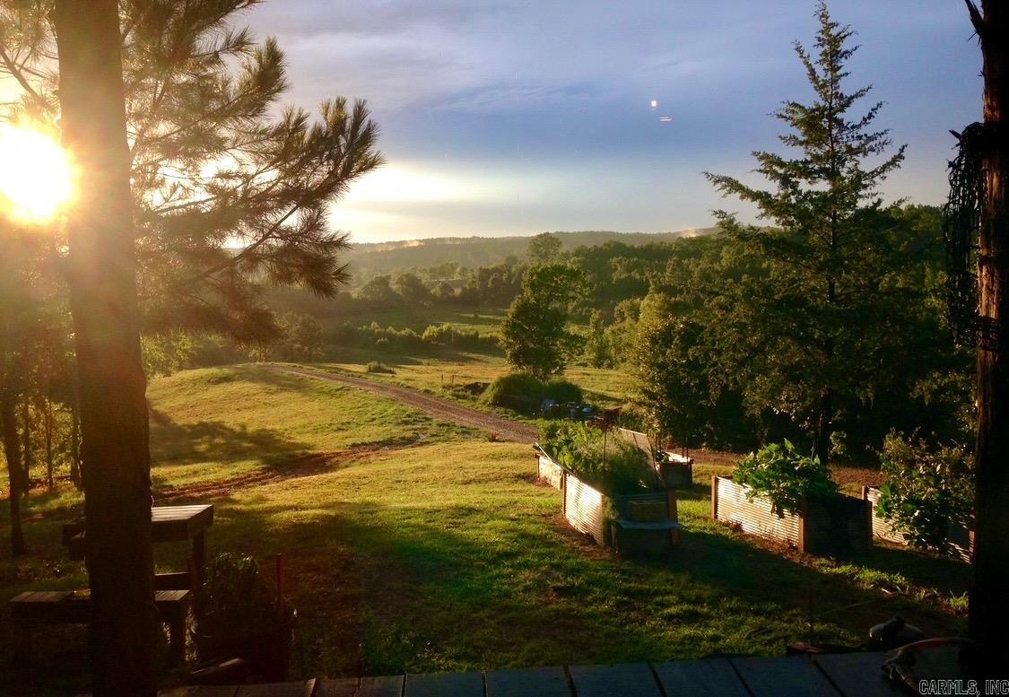 150 Twin Creeks  Ben Lomond, AR