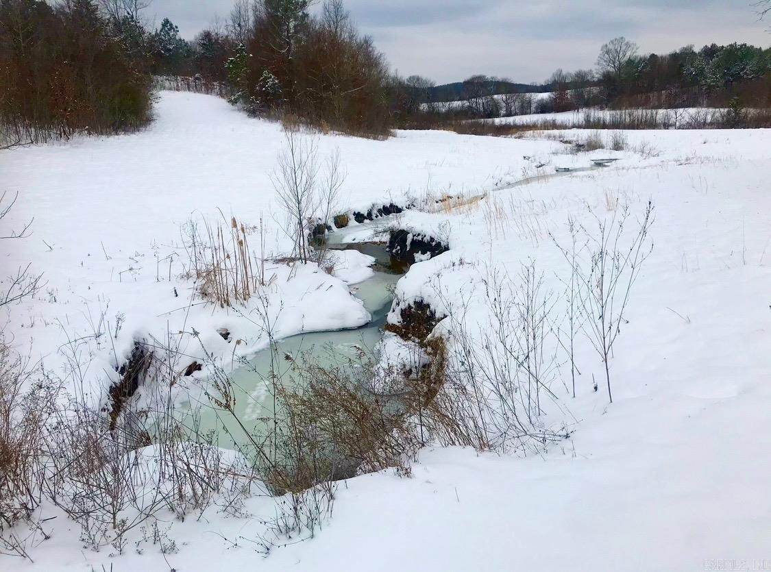 150 Twin Creeks  Ben Lomond, AR