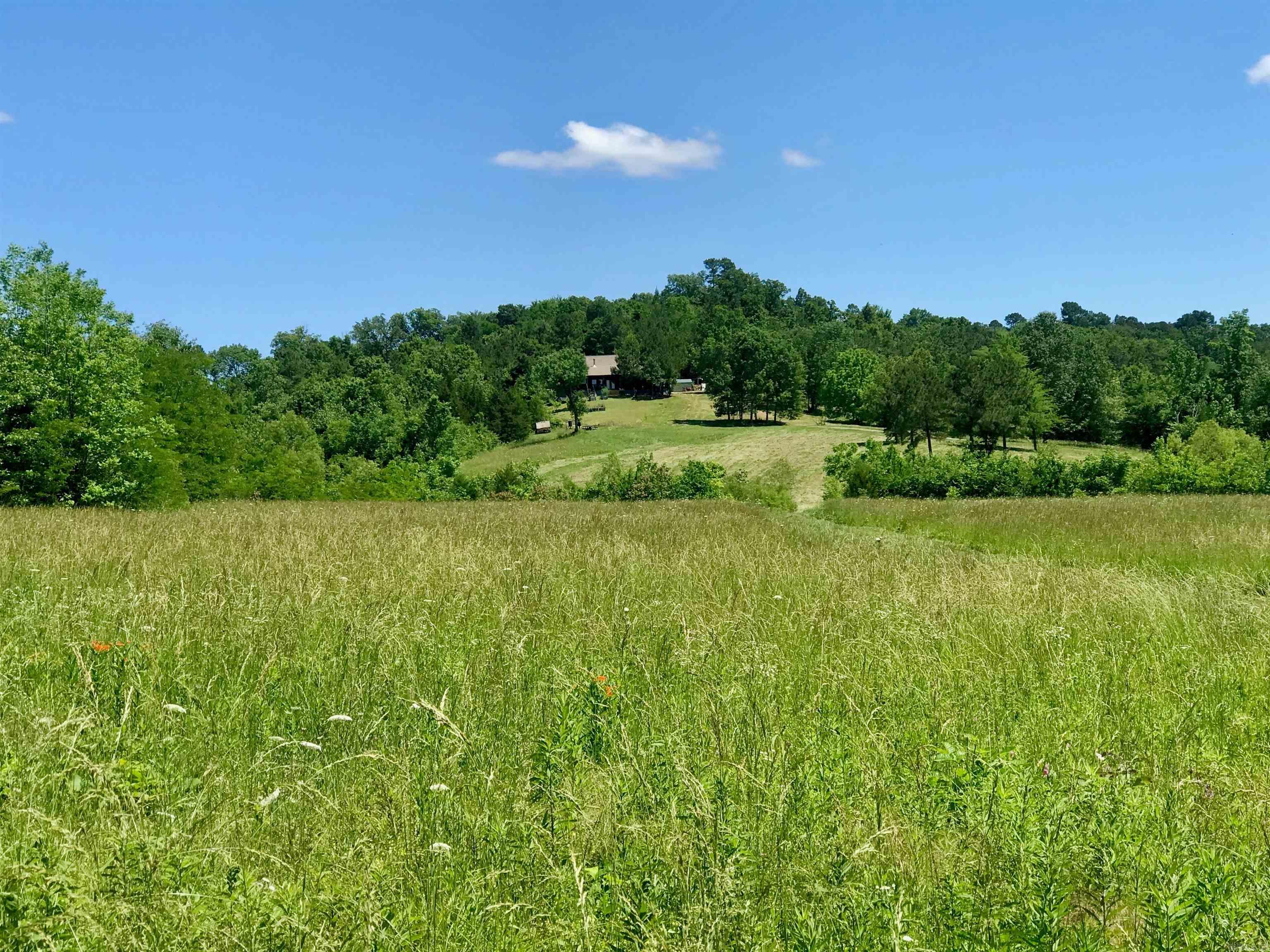 150 Twin Creeks  Ben Lomond, AR